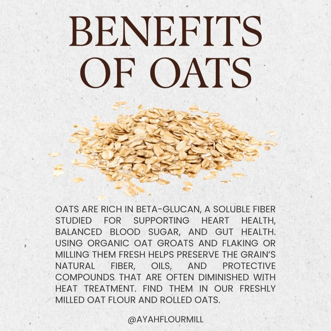 Oats are one of the most studied whole grains for good reason.
They&rsquo;re rich in beta-glucan, a soluble fiber shown to support heart health, steady blood sugar, and gut health.
We work with organic oat groats and either flake or mill them fresh, 