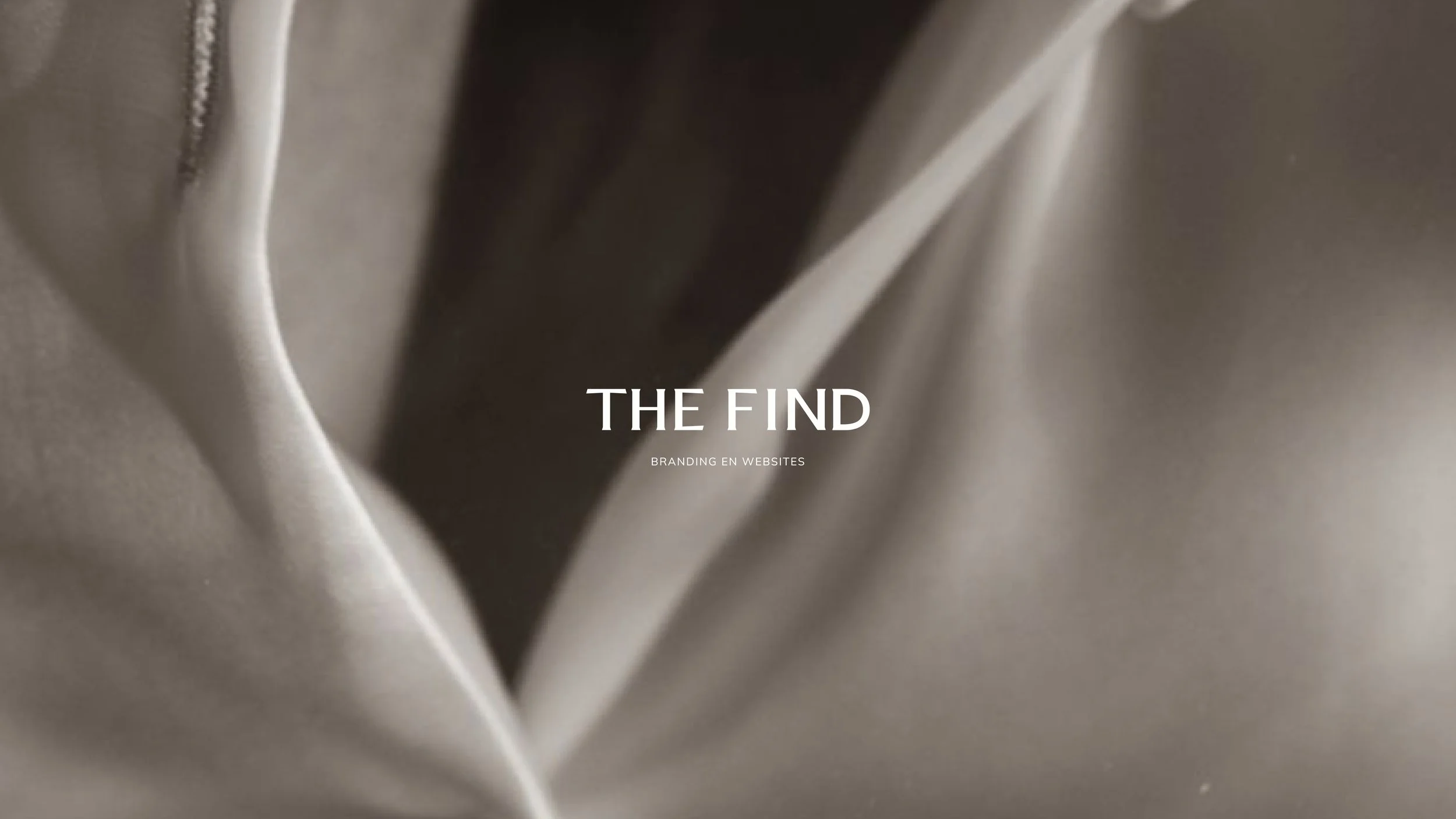 branding en websites