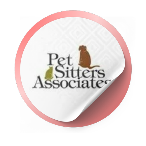 Certification Badge 3