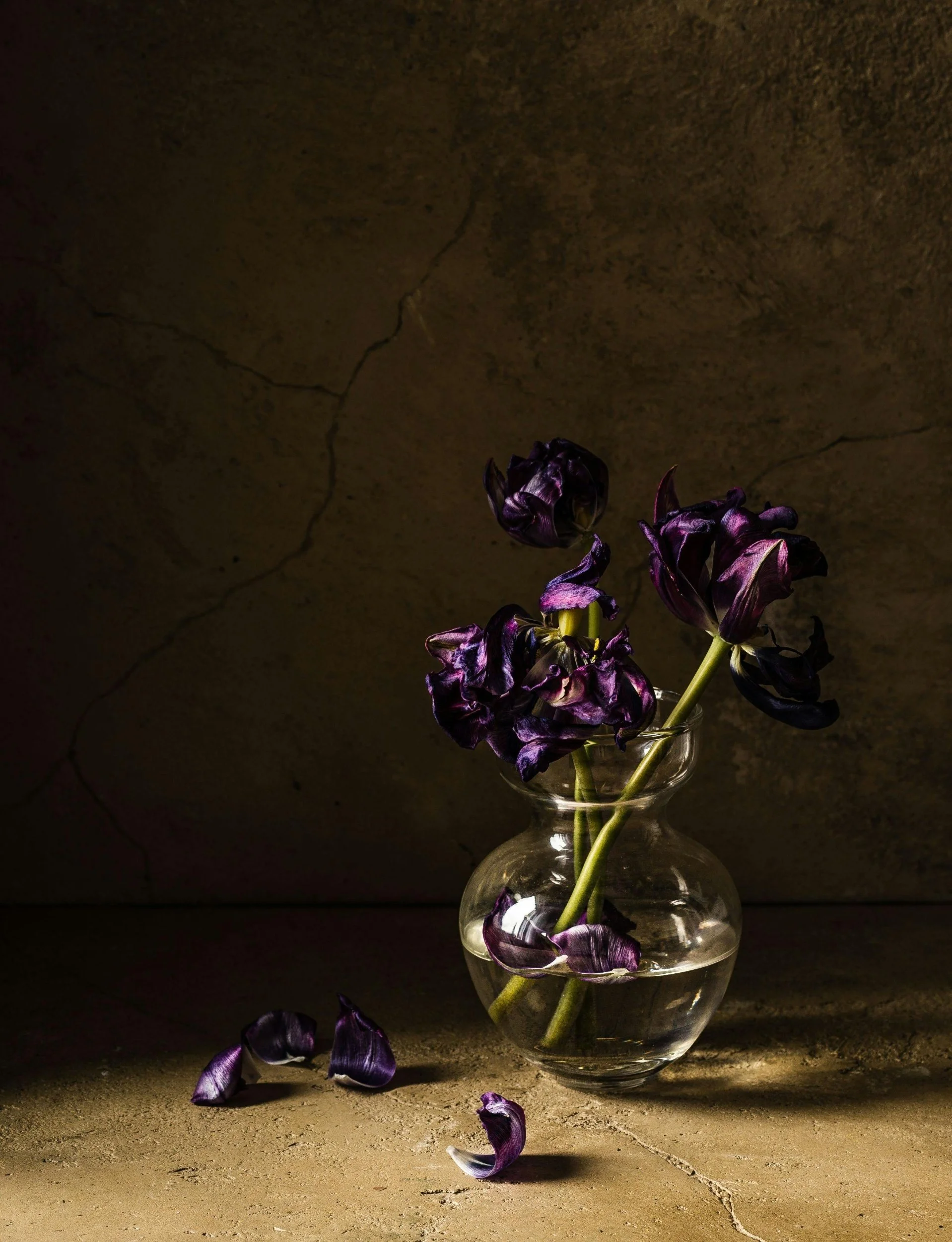 A glass vase with wilted purple flowers and a few petals scattered on a textured surface, with a dark, cracked background.