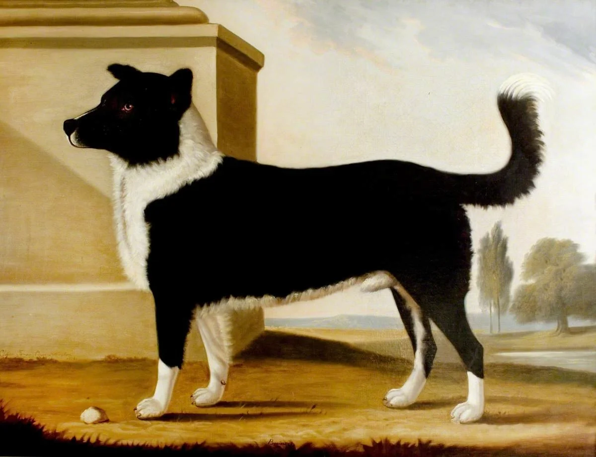 Source: Clifton Tomson (1775–1828), “Lord Byron’s Dog ‘Boatswain’ (1803–1808) (The Newfoundland),” 1808, oil on canvas, 135 × 171 cm (53 5/32 × 67 5/16 in.), Gift from Charles Ian Fraser, 1931, accession number NA 245, Newstead Abbey, Nottingham City