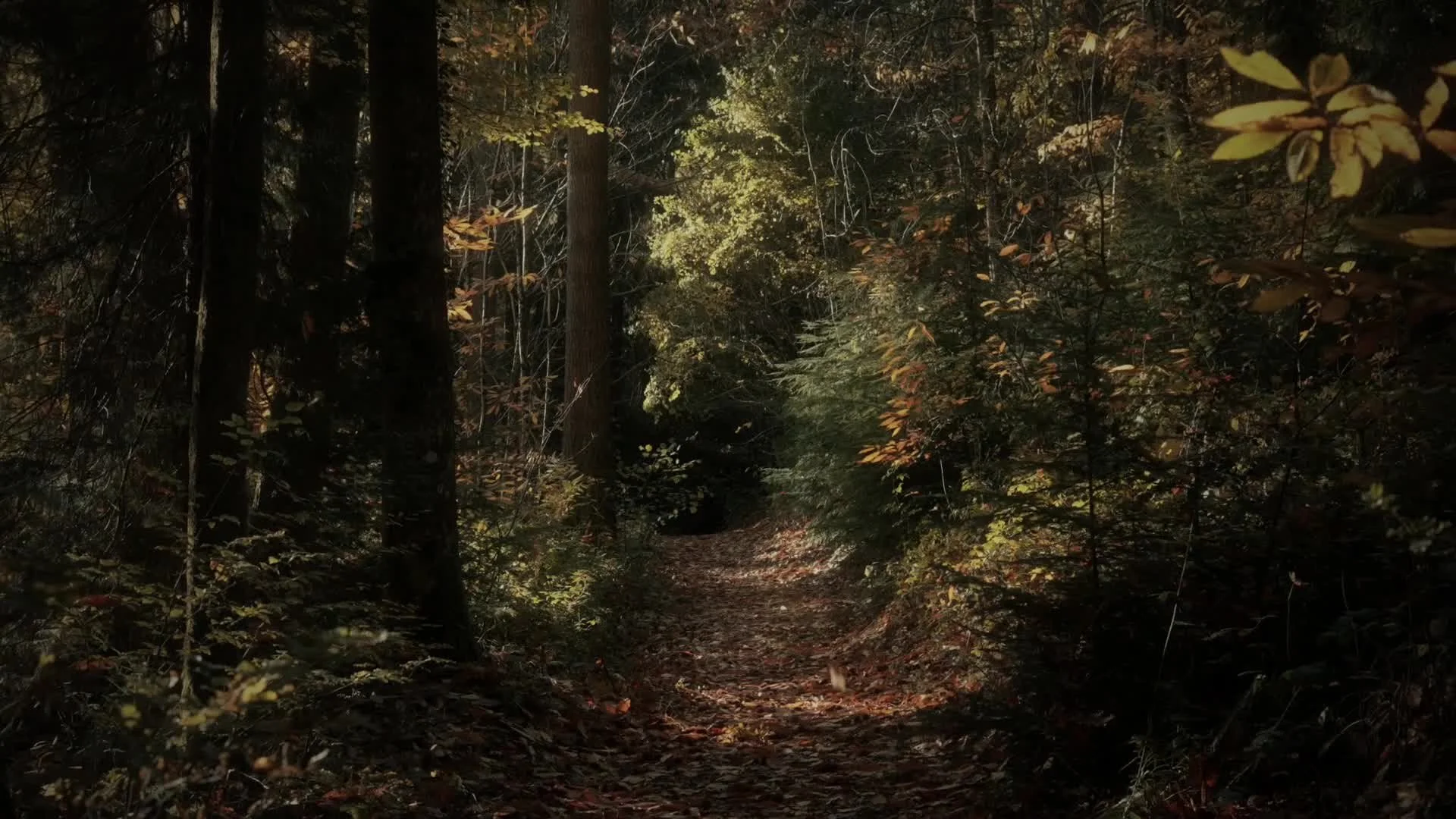 Klip Video Still 2025-12-20 0826pm.jpg