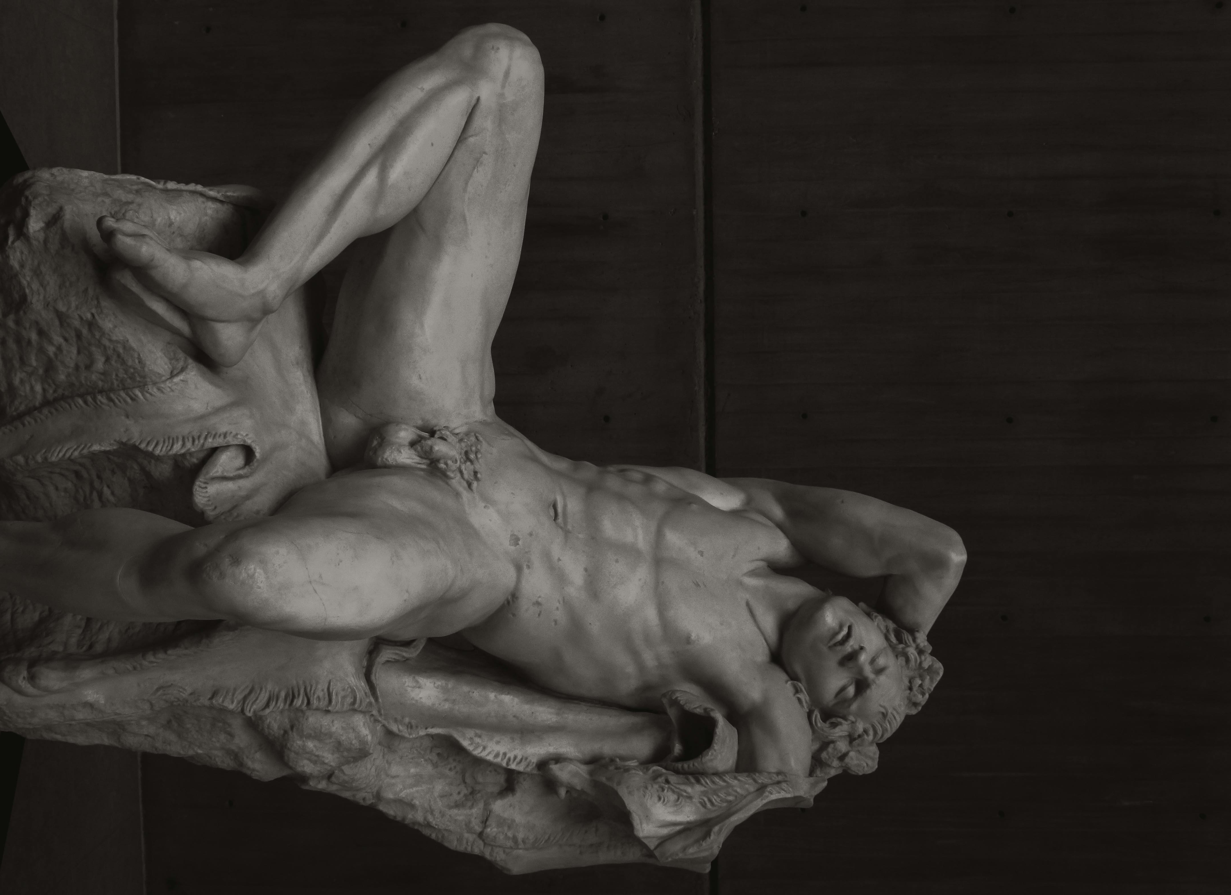 Ostentatio Genitalium