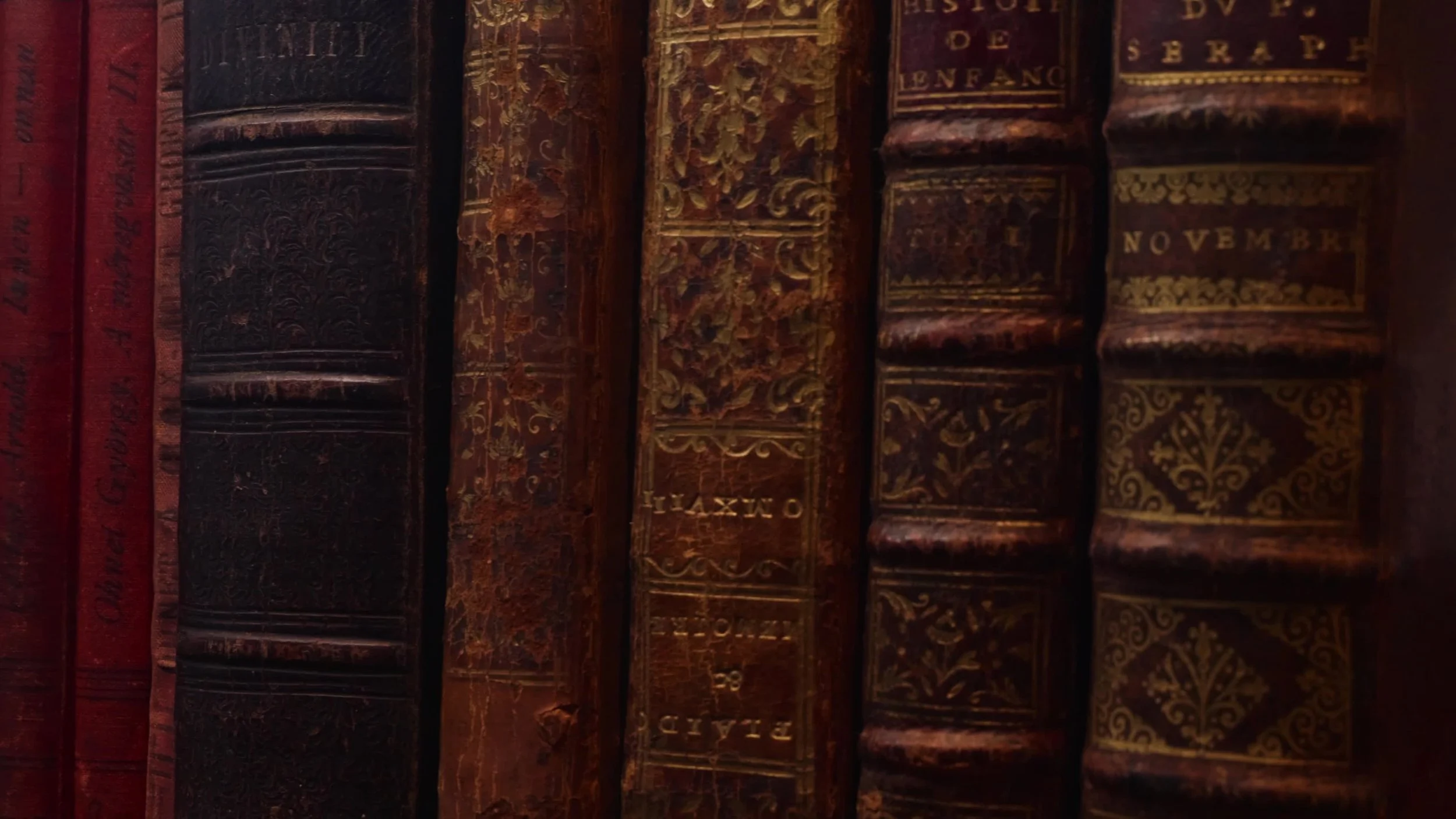 Klip Video Still 2025-10-21 1019pm.jpg