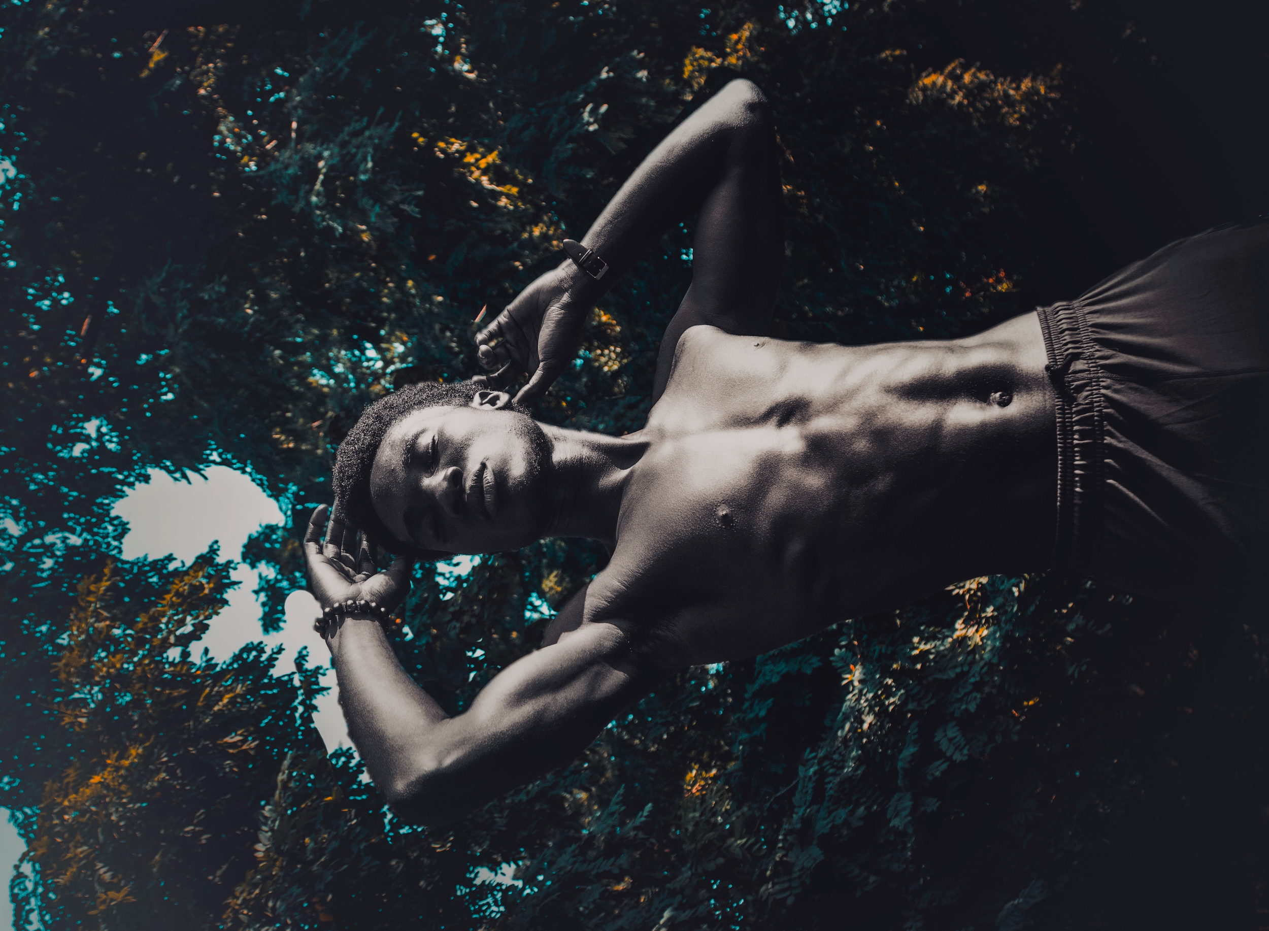 Petals Never Trembled