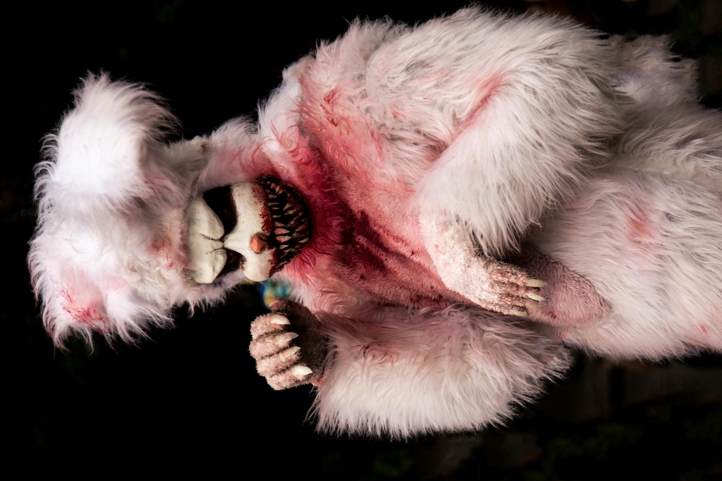 Invitation to a Contradiction