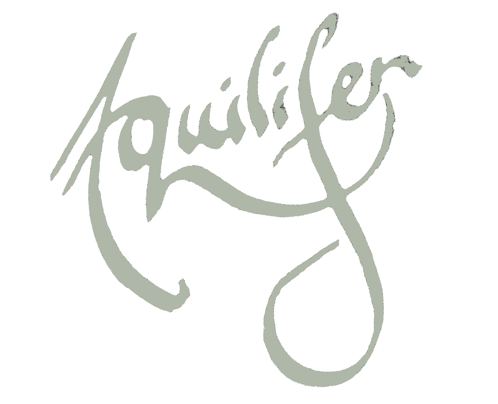 Stylized logo with the name 'Aquilifer' written in cursive. The text is gray on a black background.