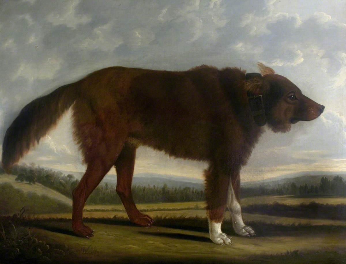Source: Clifton Tomson (1775–1828), “Lord Byron’s Dog ‘Lyon’ (The Wolf Dog),” 1808, oil on canvas, 135 × 171 cm (53 5/32 × 67 5/16 in.), Gift from Charles Ian Fraser, 1931, accession number NA 277, Newstead Abbey, Nottingham City Museums & Galleries,