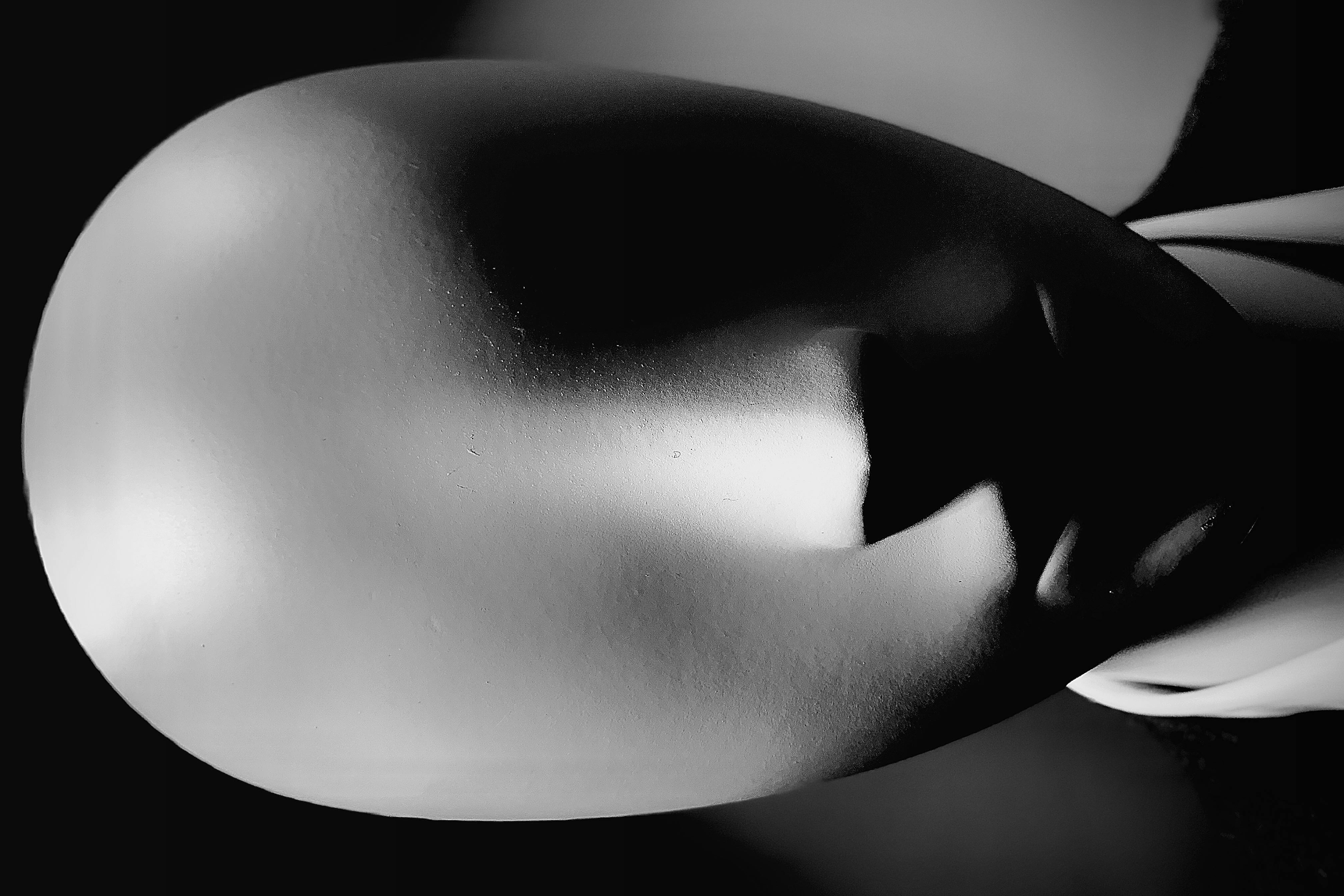 Loves, Rages, and Jealousies of Jono