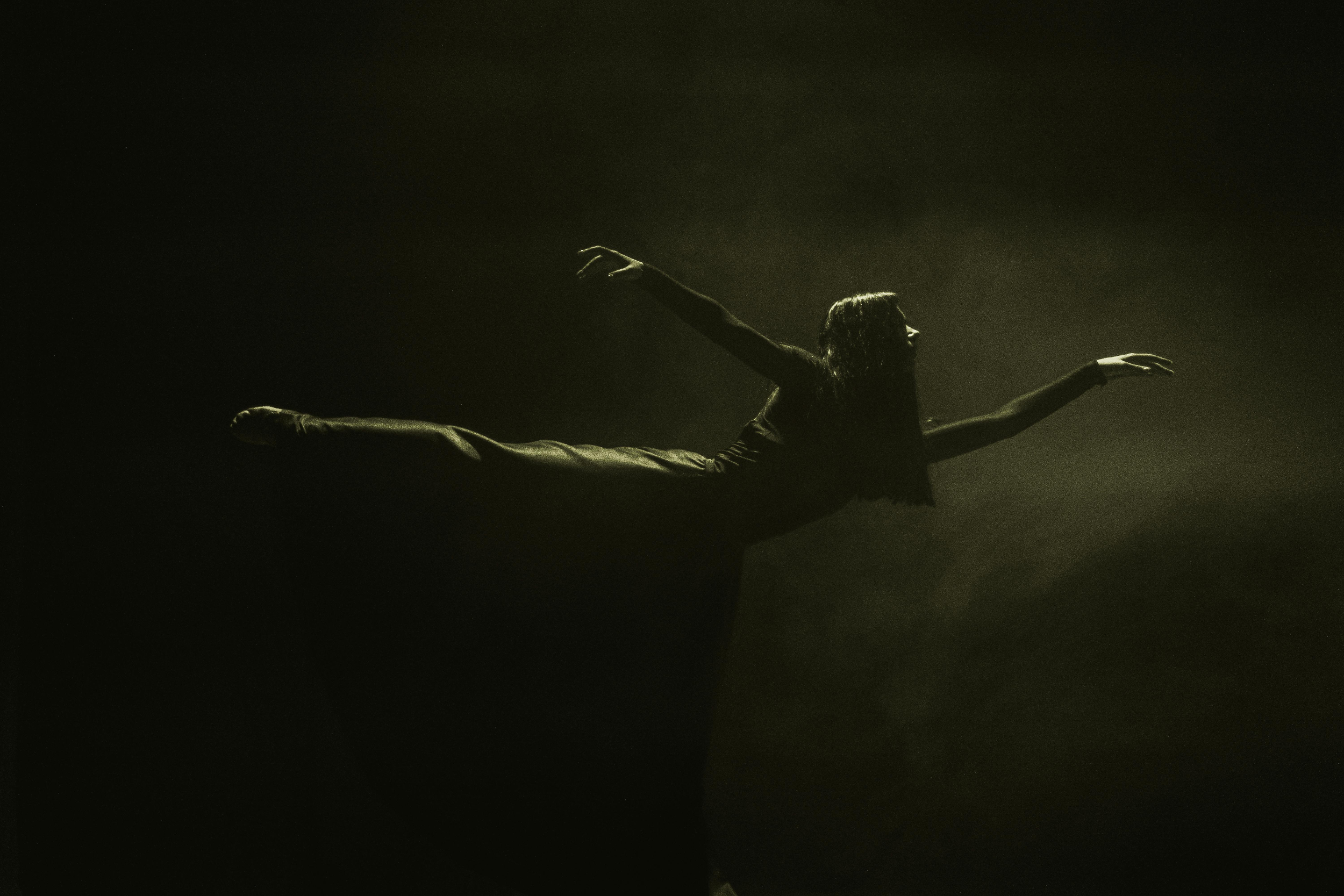 The Shipwreck of Introspection