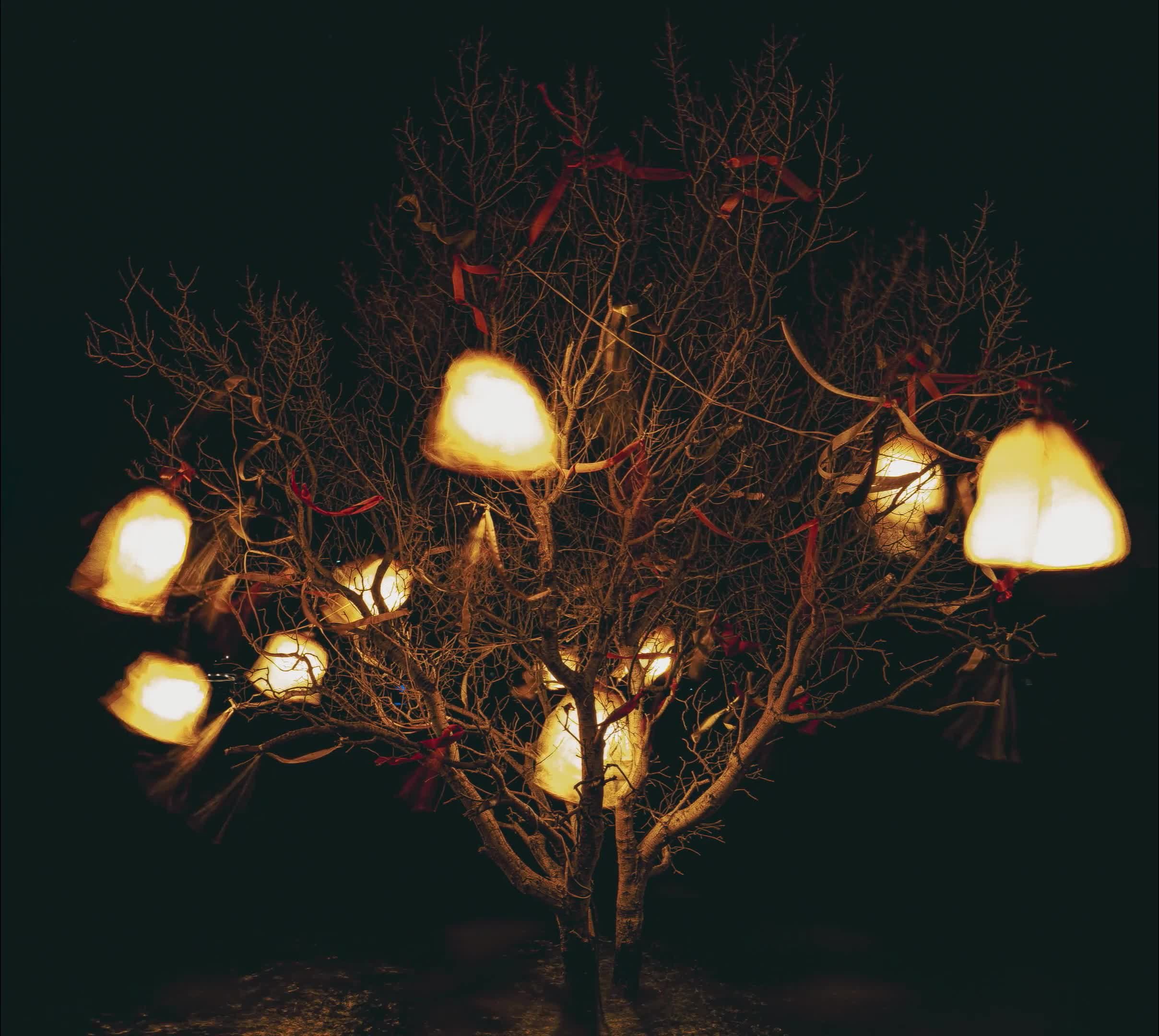 Klip Video Still 2025-12-17 0922pm.jpg