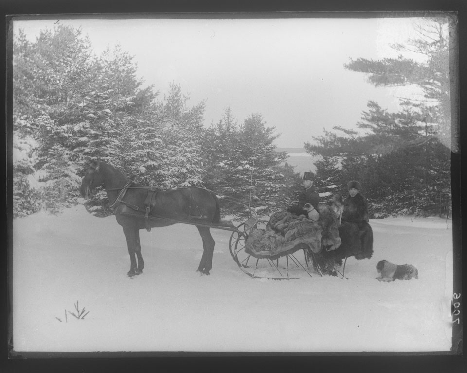 Period archival photograph of two officers of the British Army's Corps of Royal Engineers together going for a winter sleigh ride in Halifax, Nova Scotia's Point Pleasant Park, with their pet dogs, in 1870, warmed by fur pelts and blankets, uniforms.