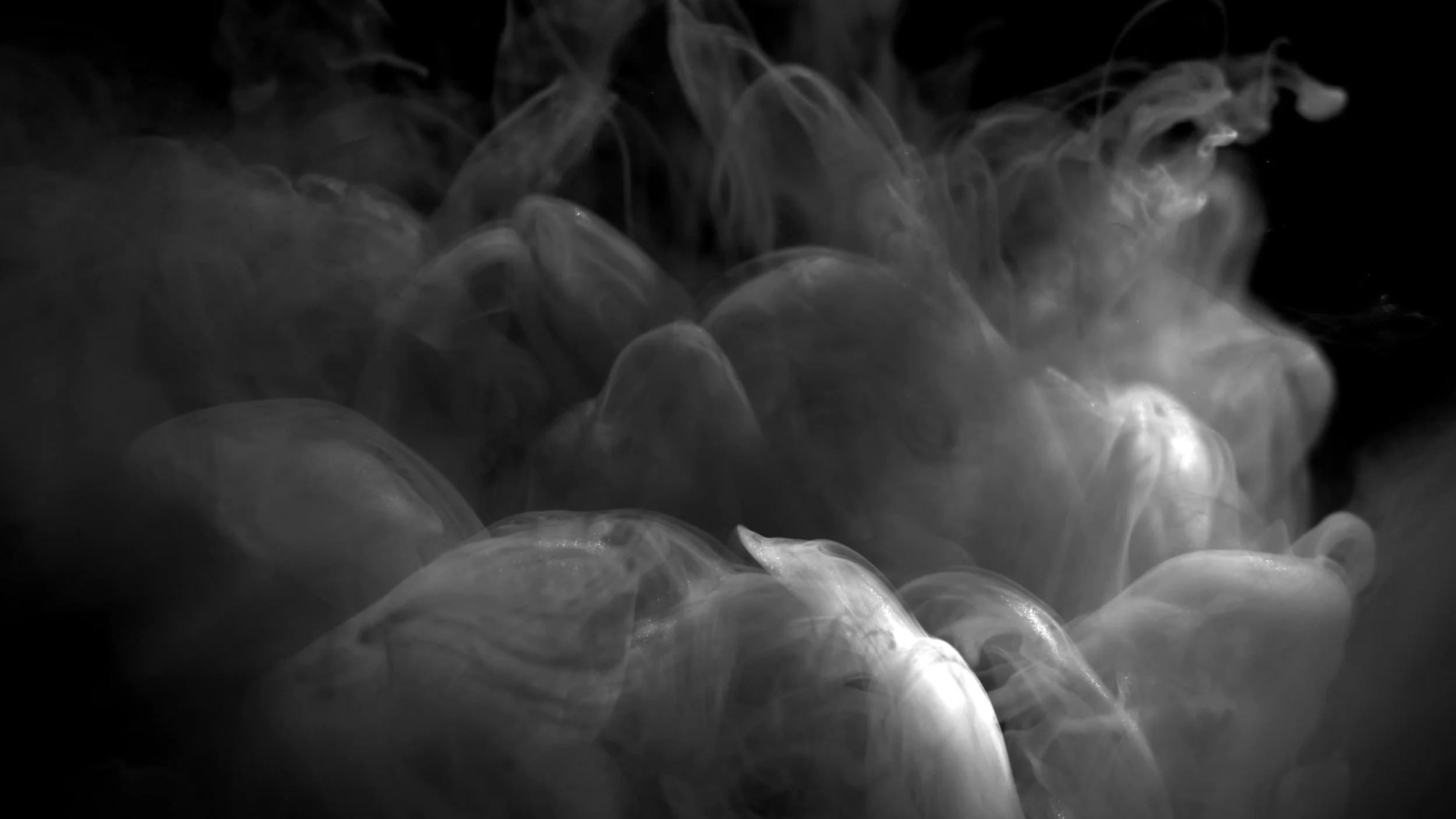 Klip Video Still 2025-11-12 0958pm.jpg