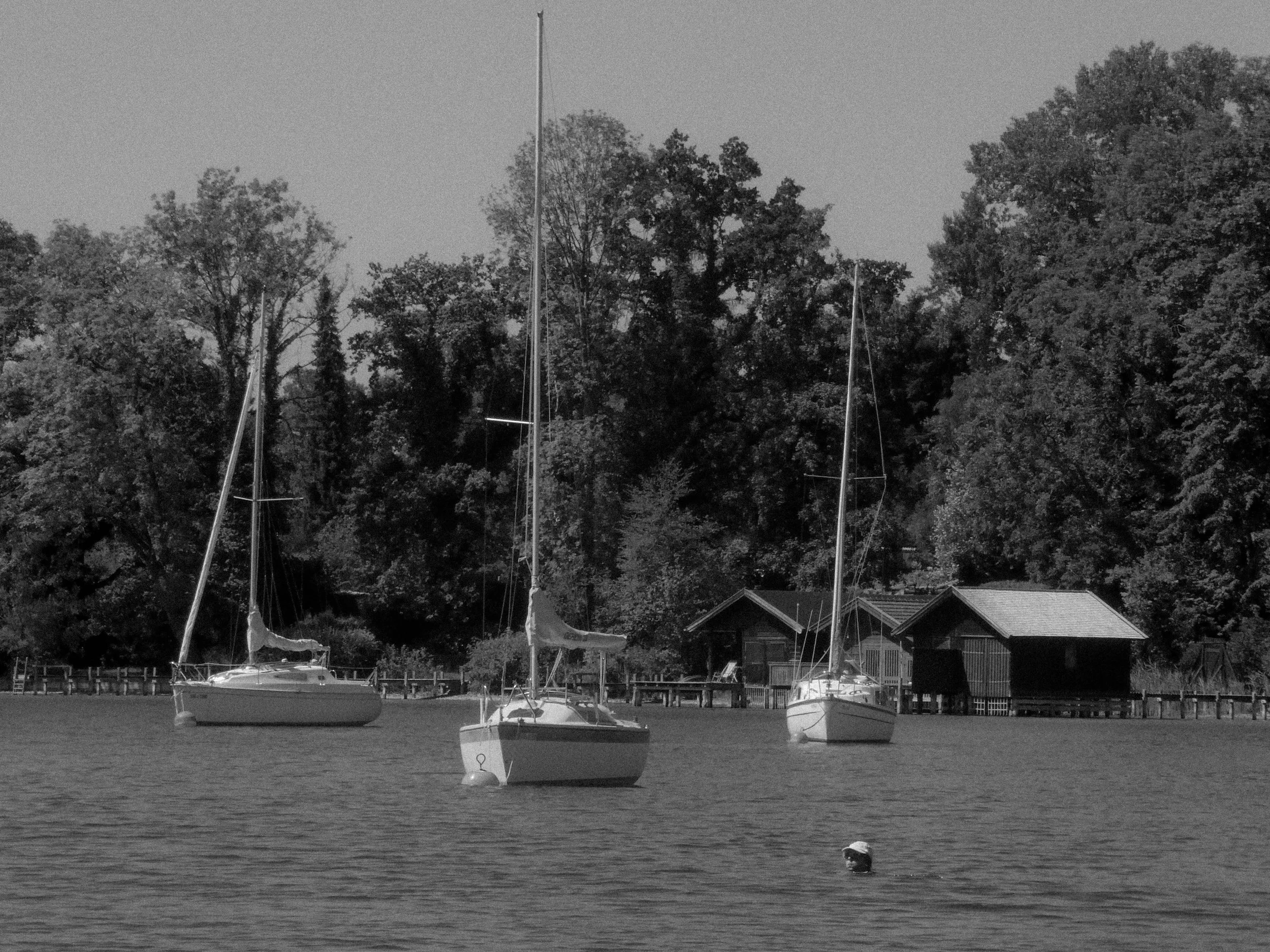 P1011859.jpg