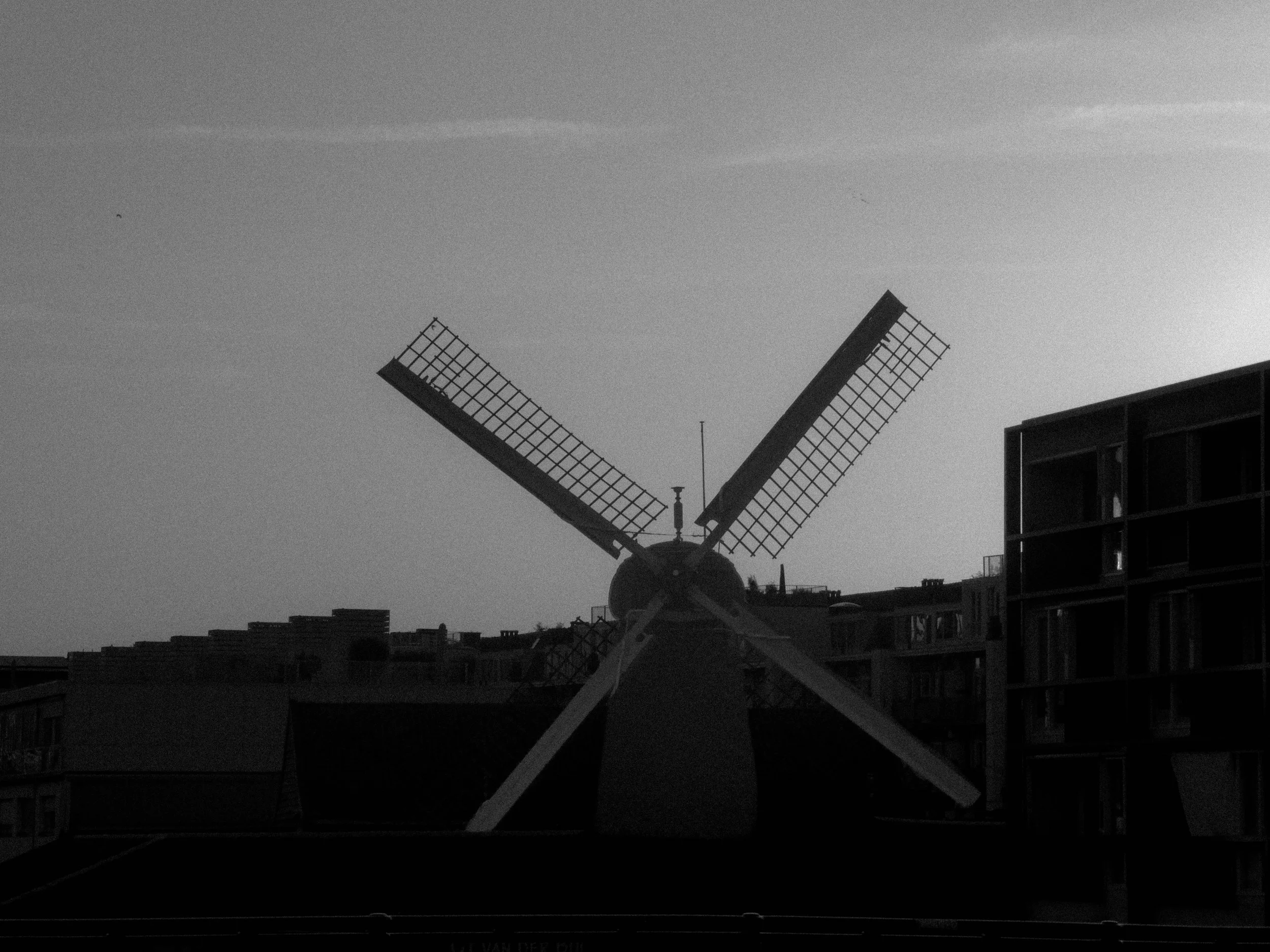P1011845.jpg