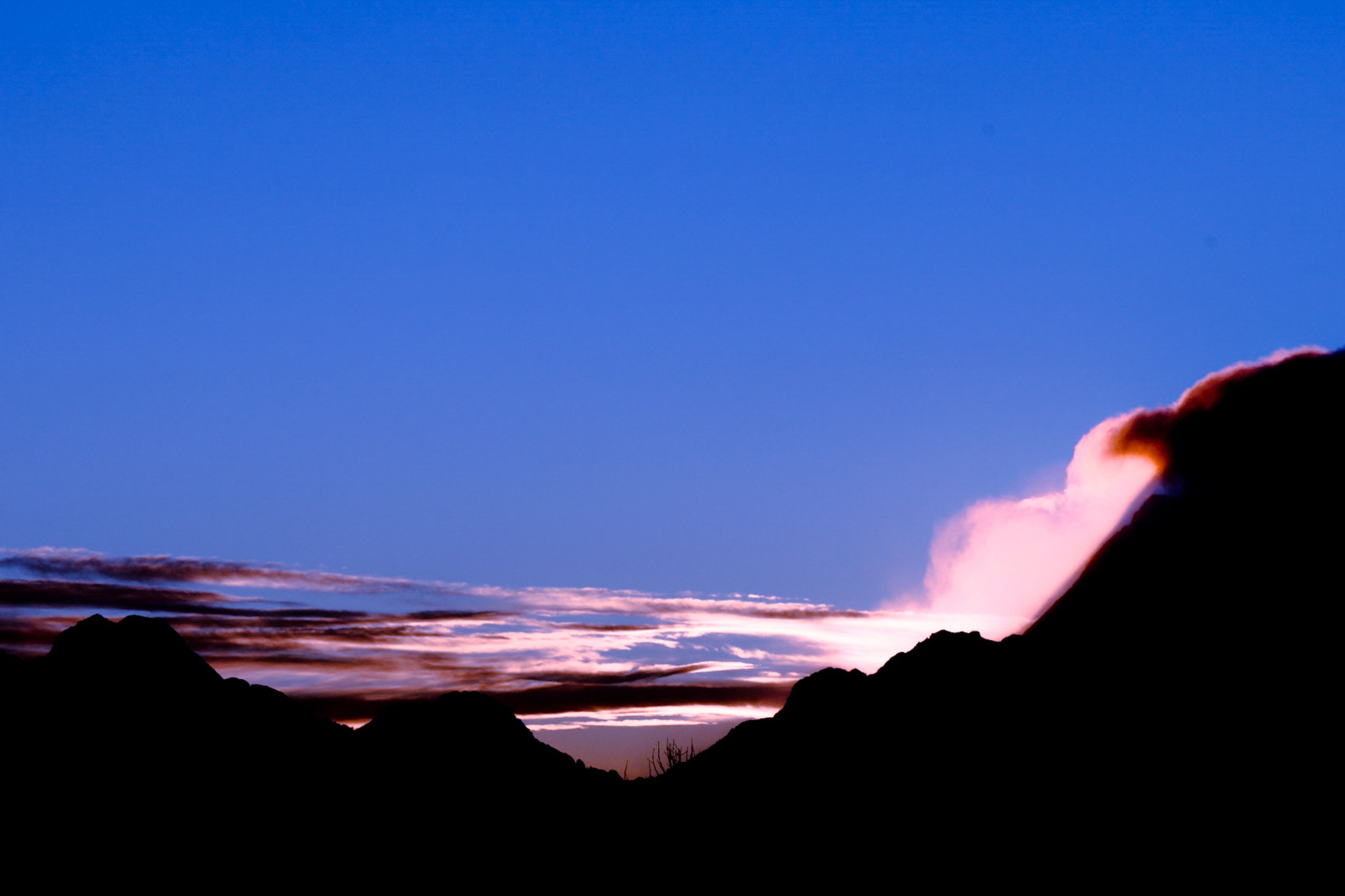 elf - simple black frame - 40x30.jpg