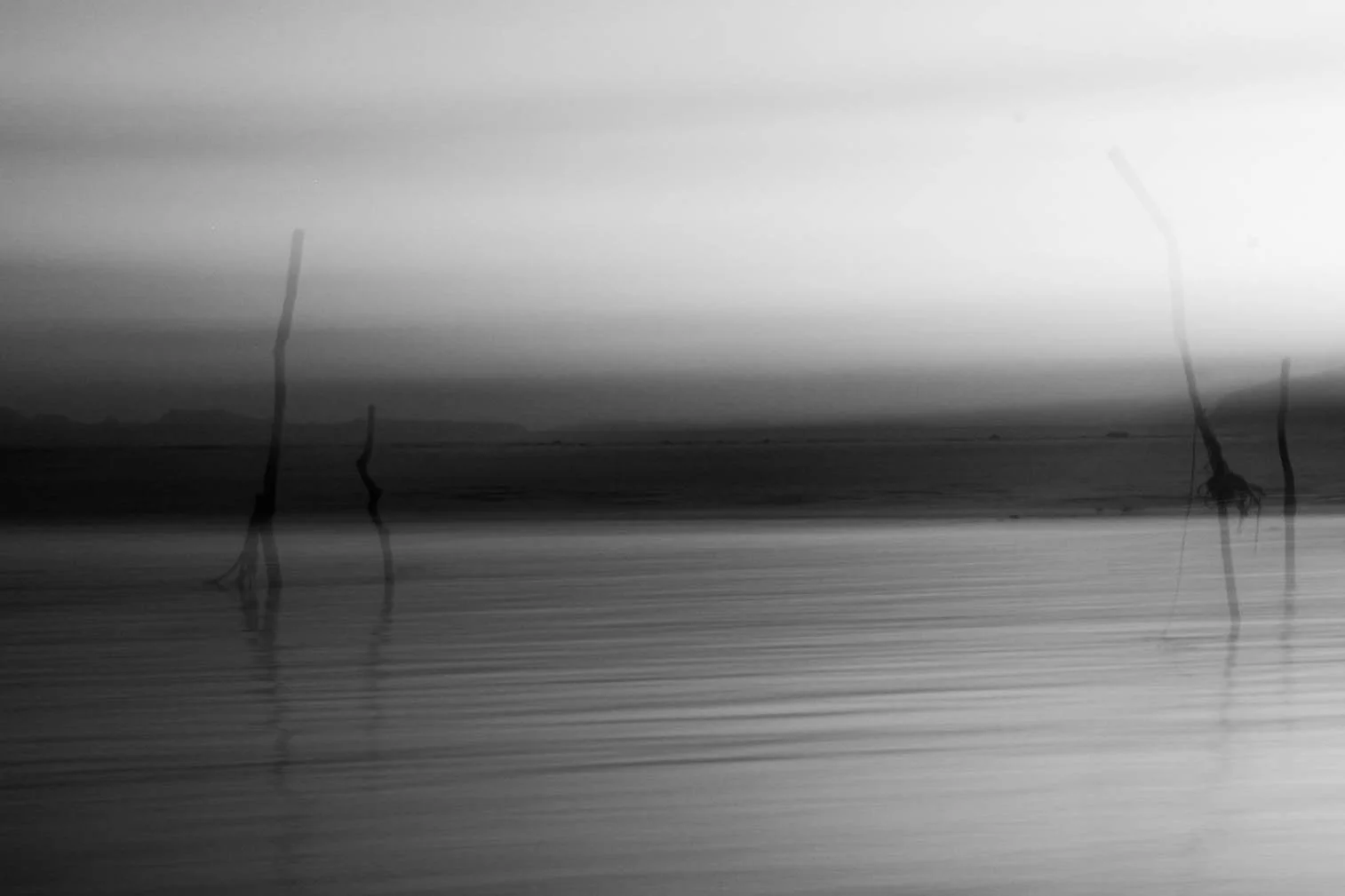 IMG_9195.jpg