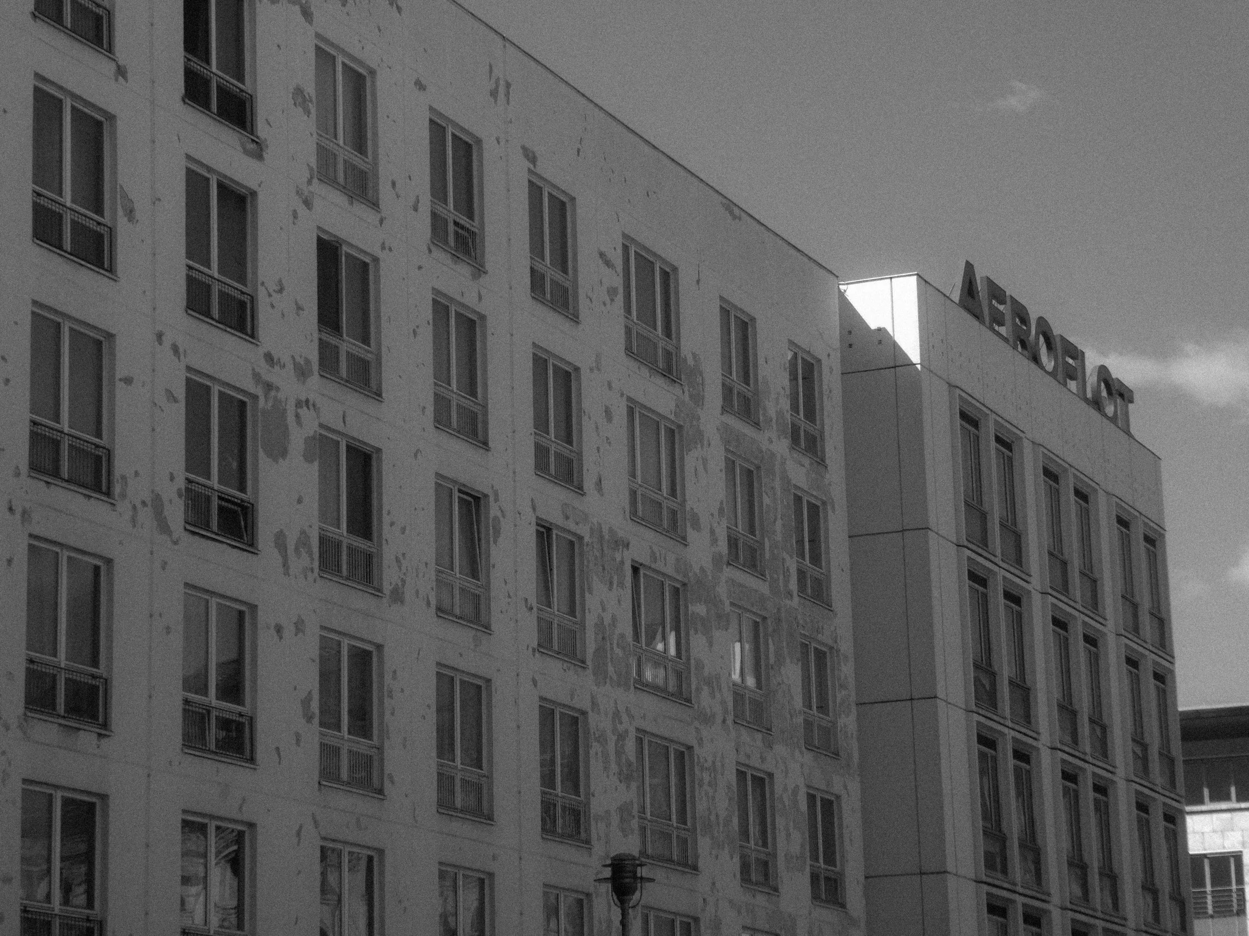 P1000906.jpg