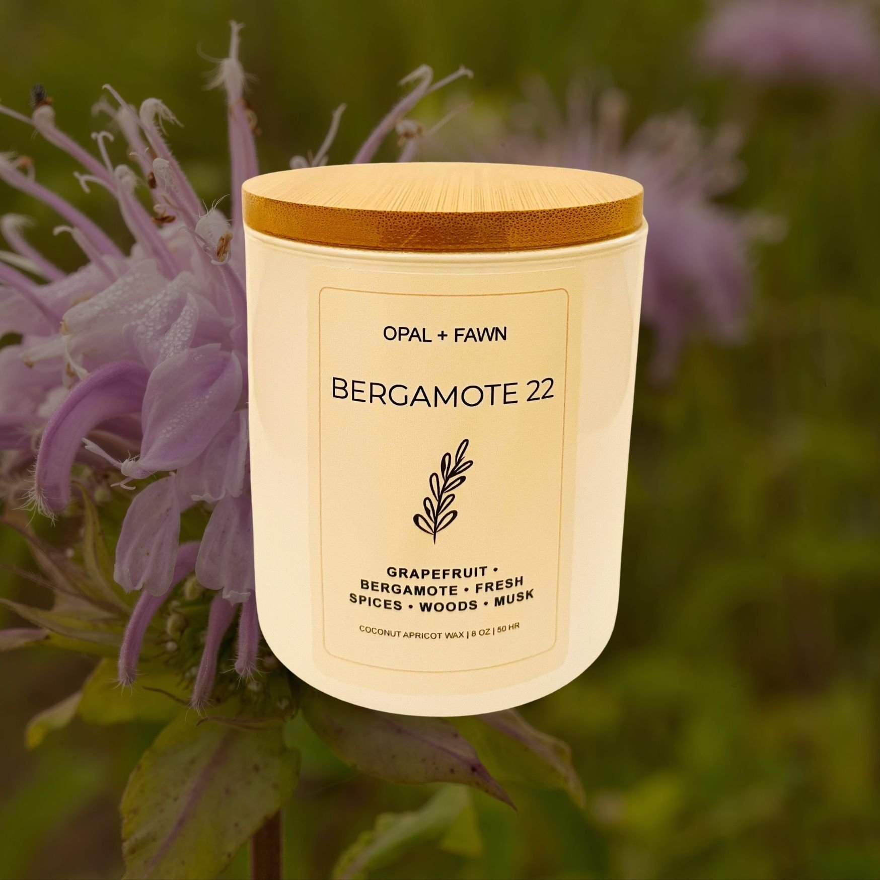 Bergamote 22 with background.jpg