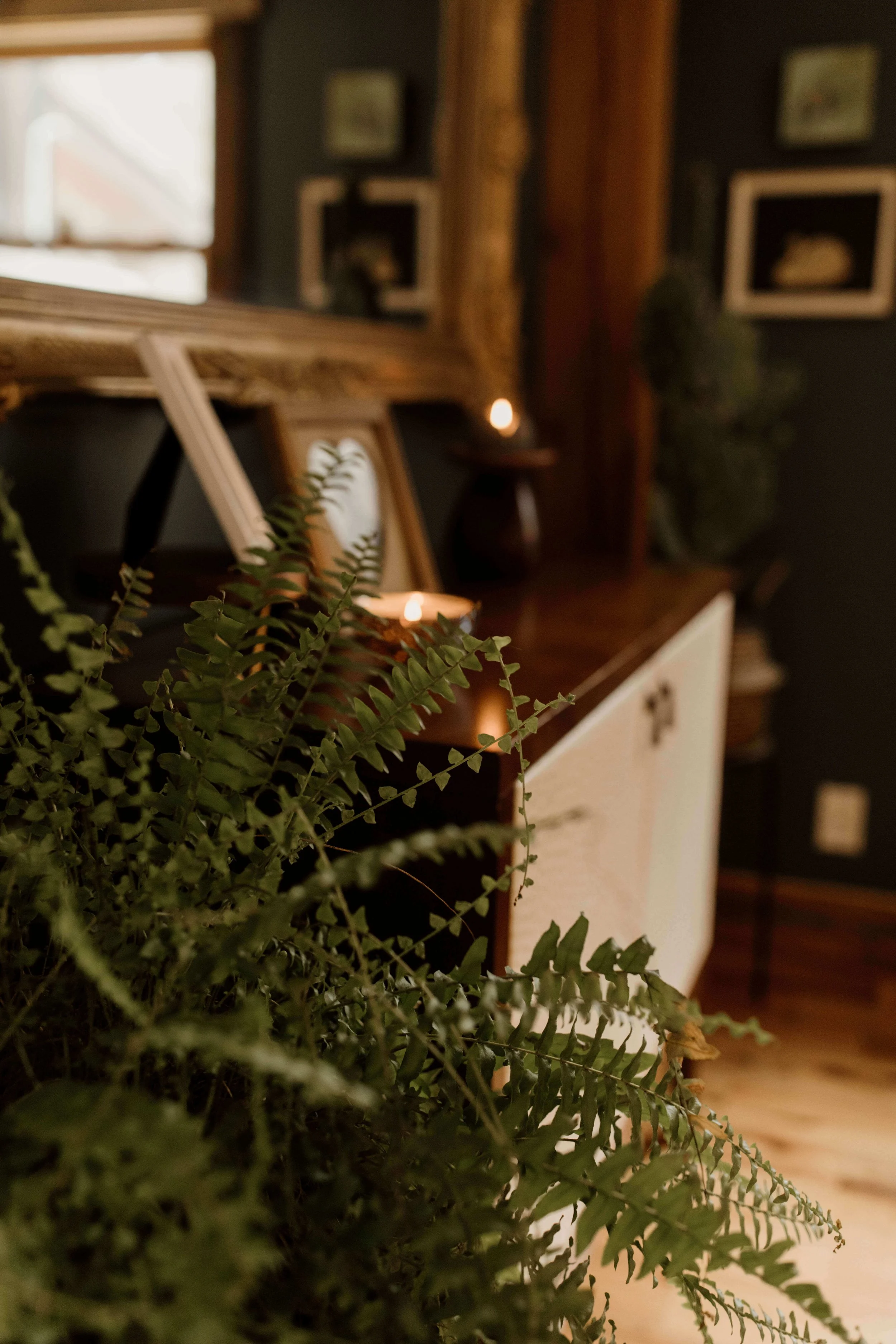 A beautifully curated space.