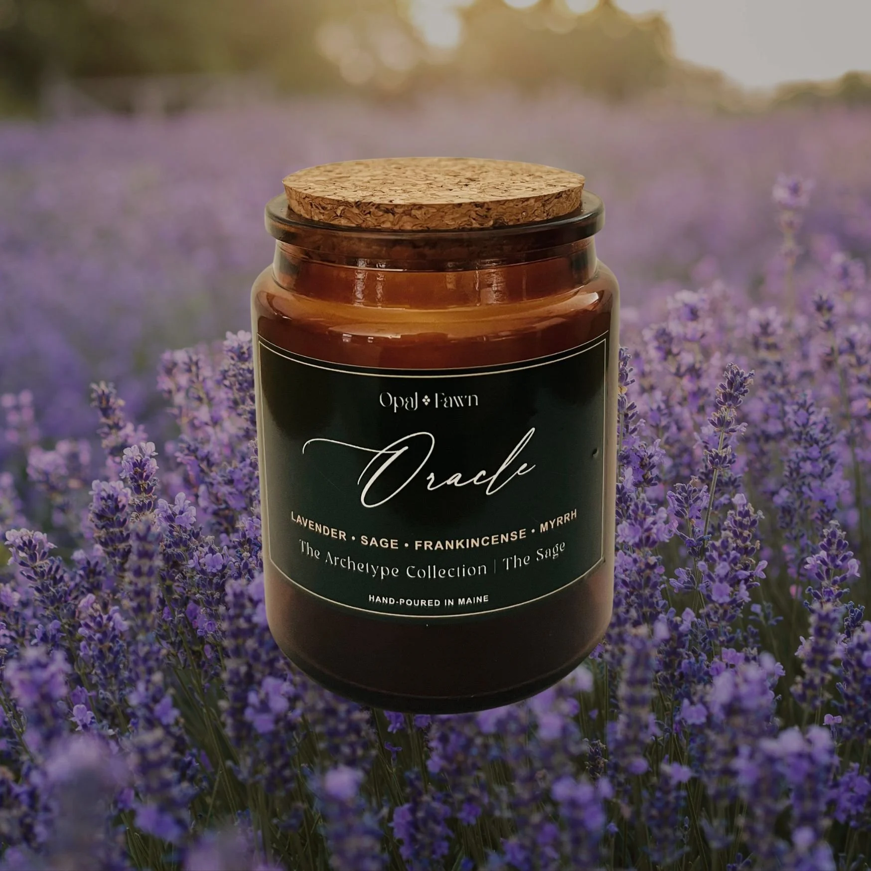 Oracle Apothecary.jpg