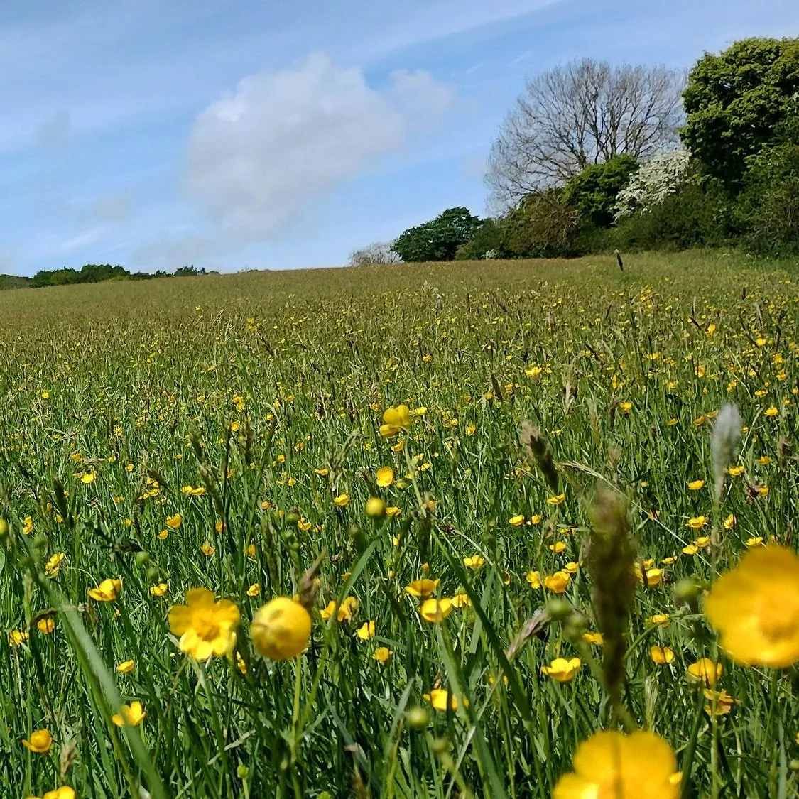 We’ve launched our first website!