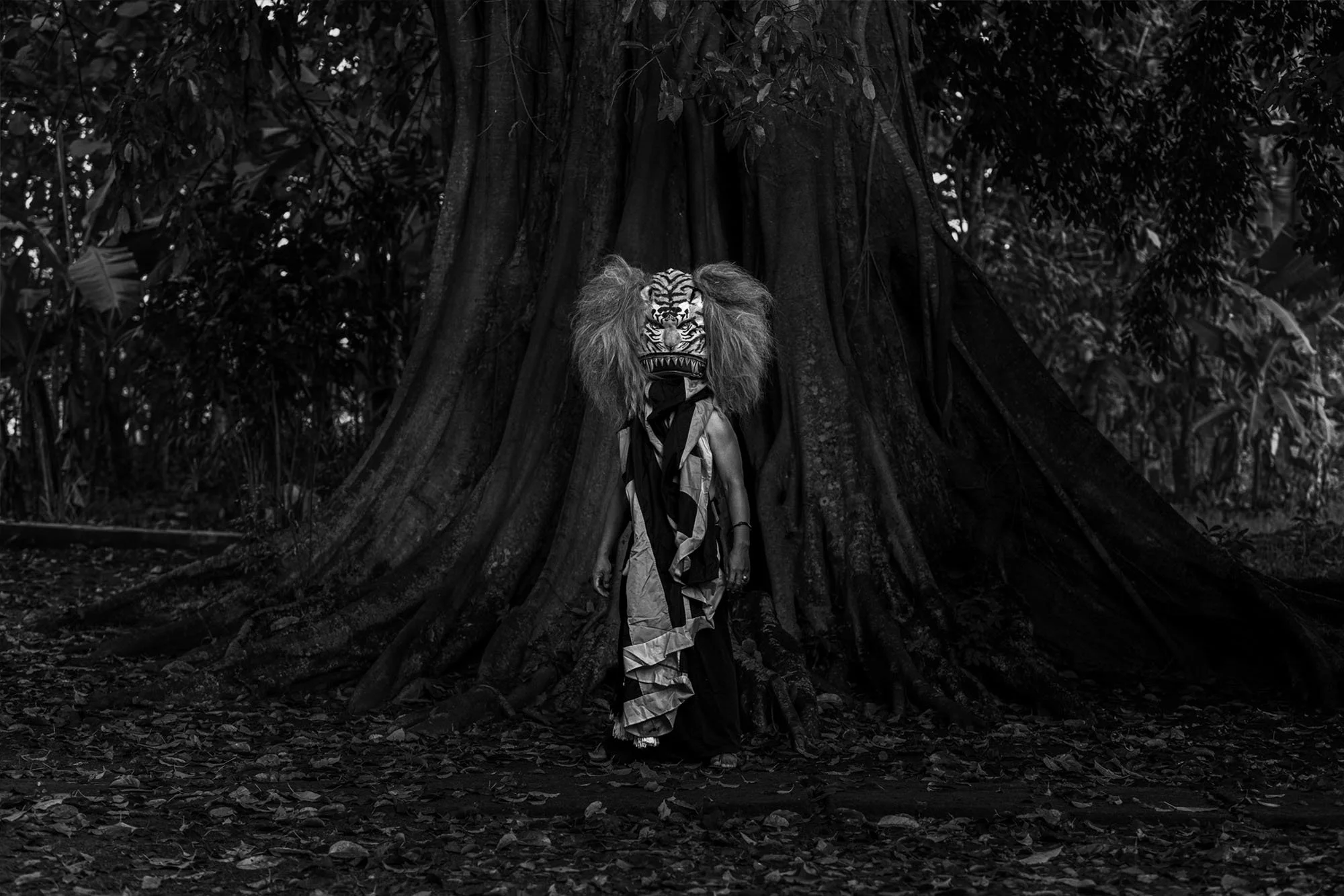 Reog Ponorogo dancer under a banyan tree, East Java