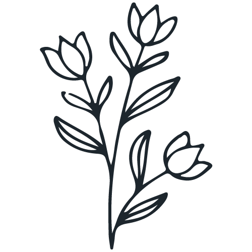 Dibujo de una planta con hojas y flores.