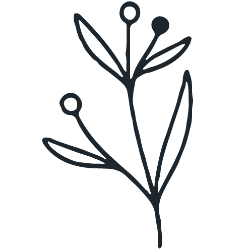 Ilustración minimalista de una planta con hojas y pequeñas flores o frutos.