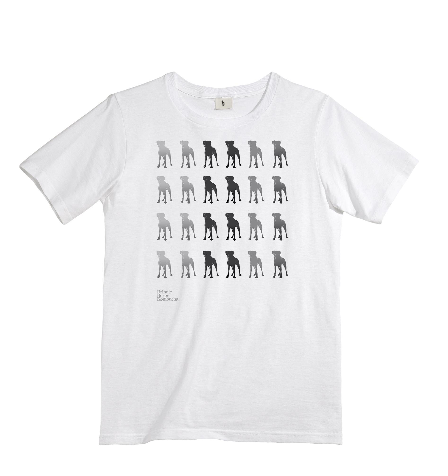 Decorative display featuring three colorful, bird-shaped ornaments with face masks, set on a table in a library.