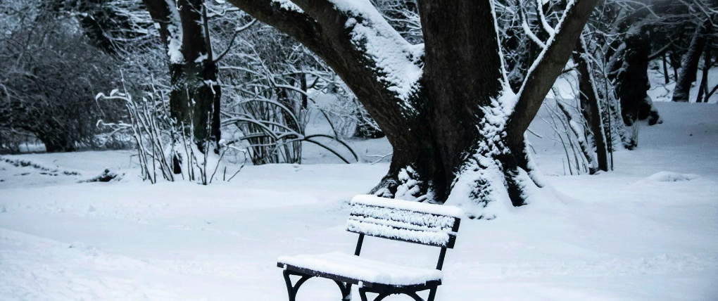 Is January the Right Time to Arrange Care for a Loved One?&nbsp;