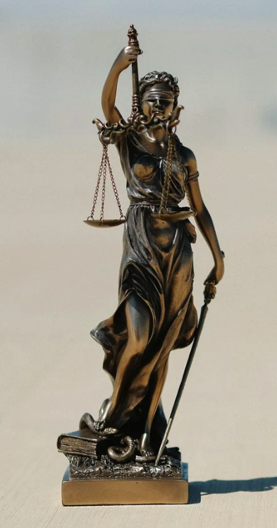 🧭 What is an Advocate in Health and Social Care?