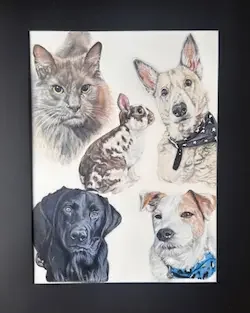 Coloured pencil multi-pet portrait featuring a dog, cat, and rabbit by Lou Ellen Art