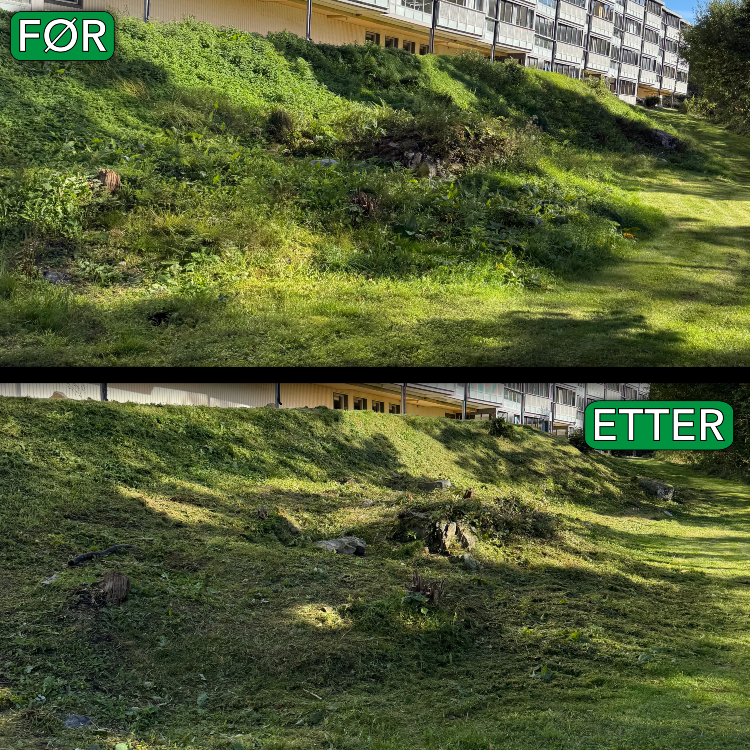 Før og etter bilder av en åpen gresslette med noen trær og busker, der trær og busker er fjernet i etterbildet.