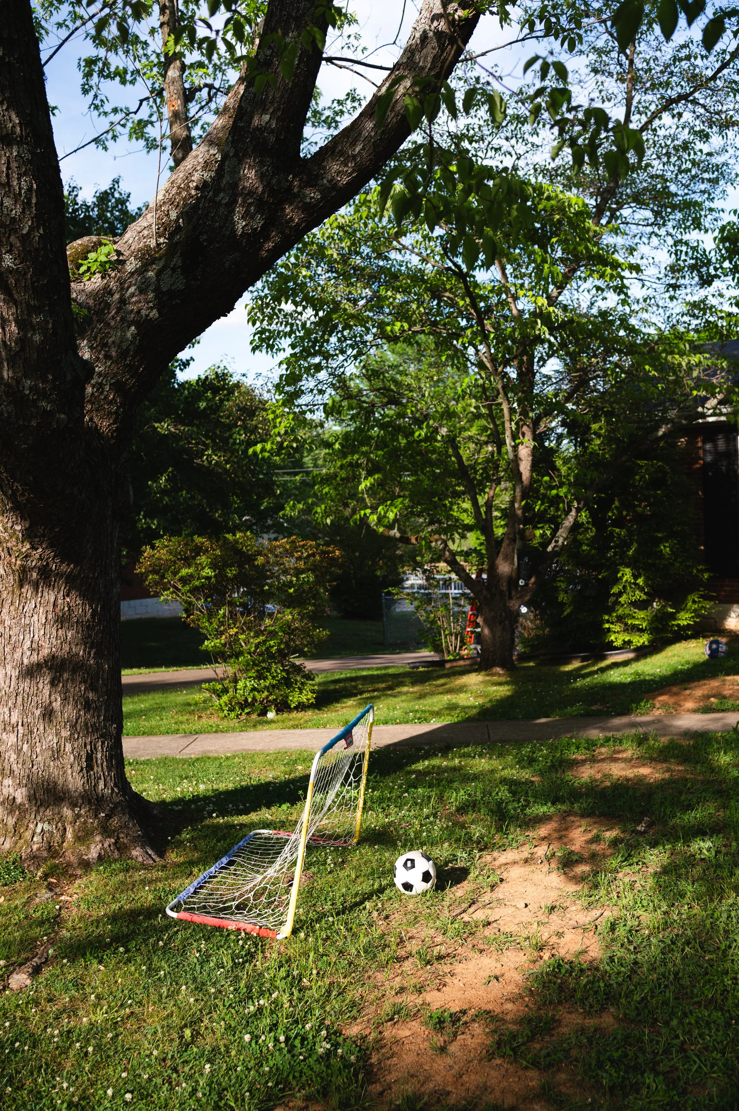 soccer net in yard, storytelling family photographer, storytelling family photos, clarksville tennessee, nashville tennessee