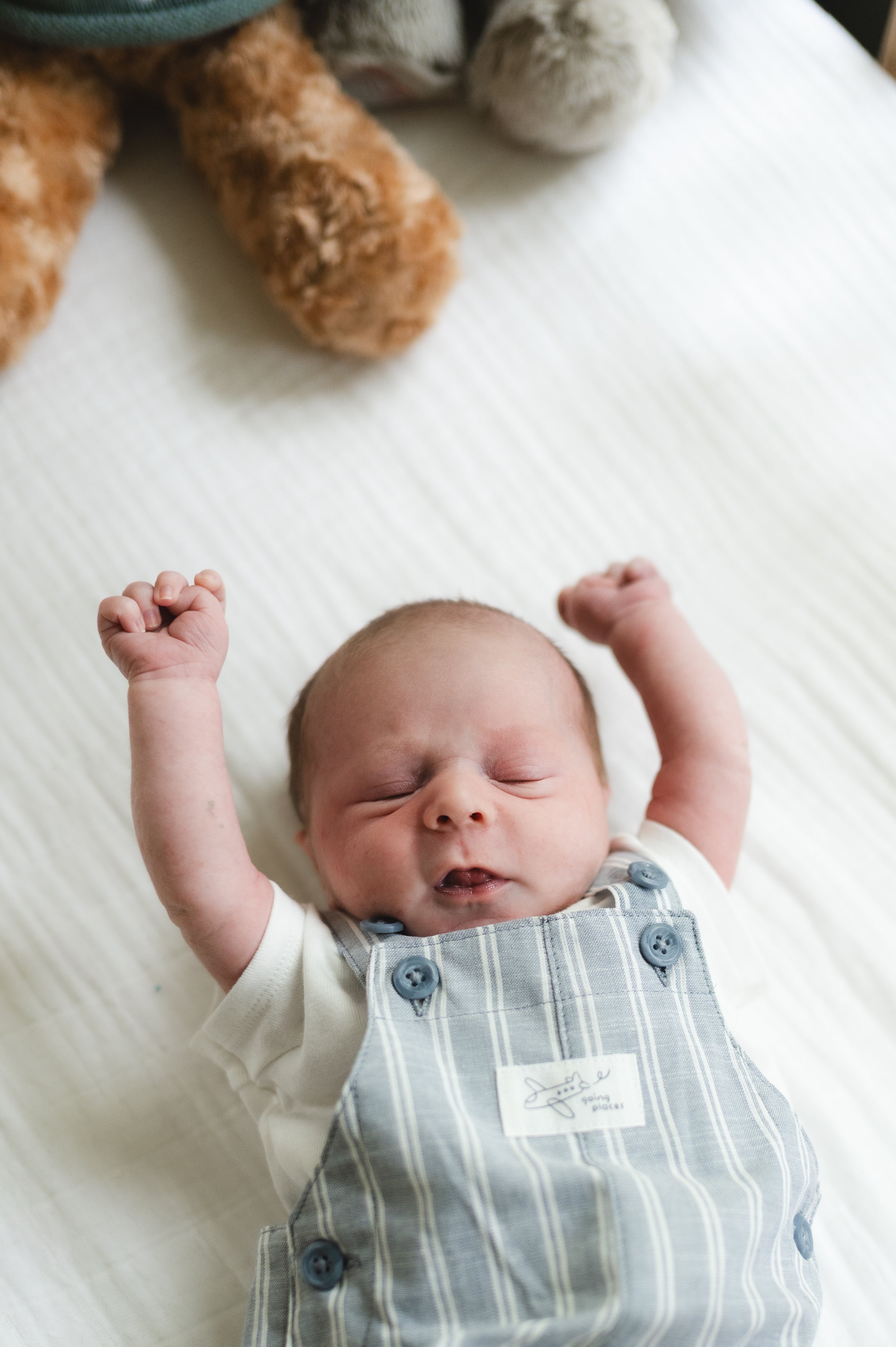 stretching newborn in crib, newborn photographer clarksville tn, newborn photographer nashville tn, affordable