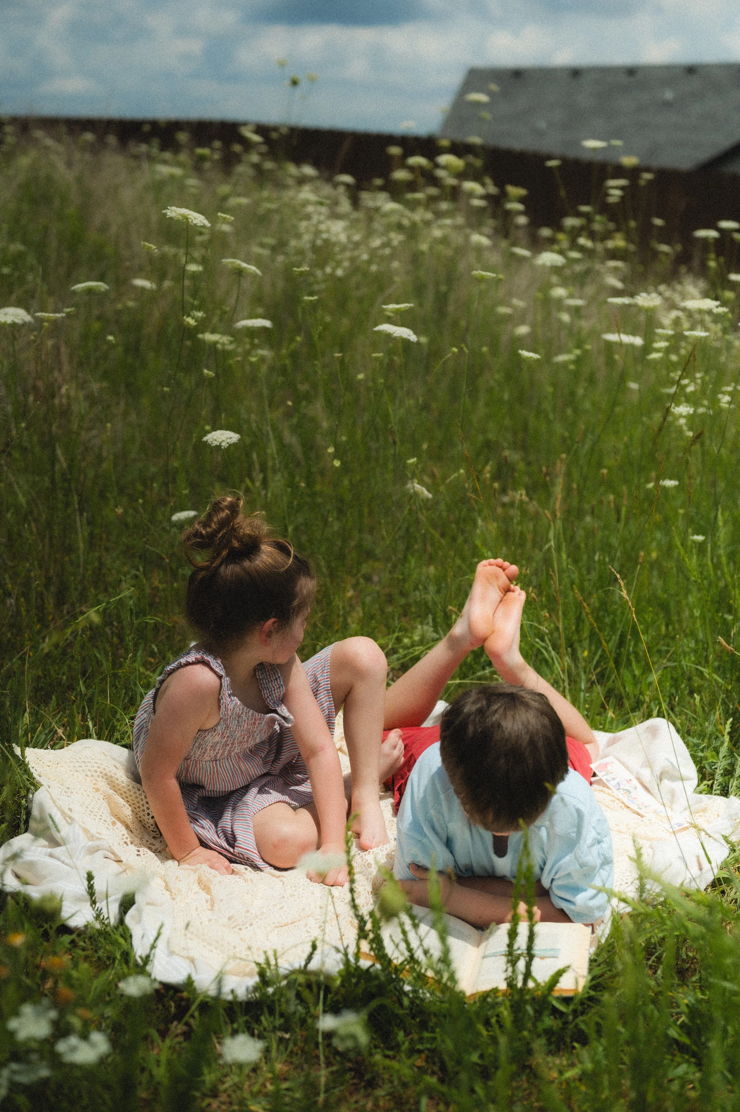 young children laying in white flower field, clarksville tennessee, photographer, affordable