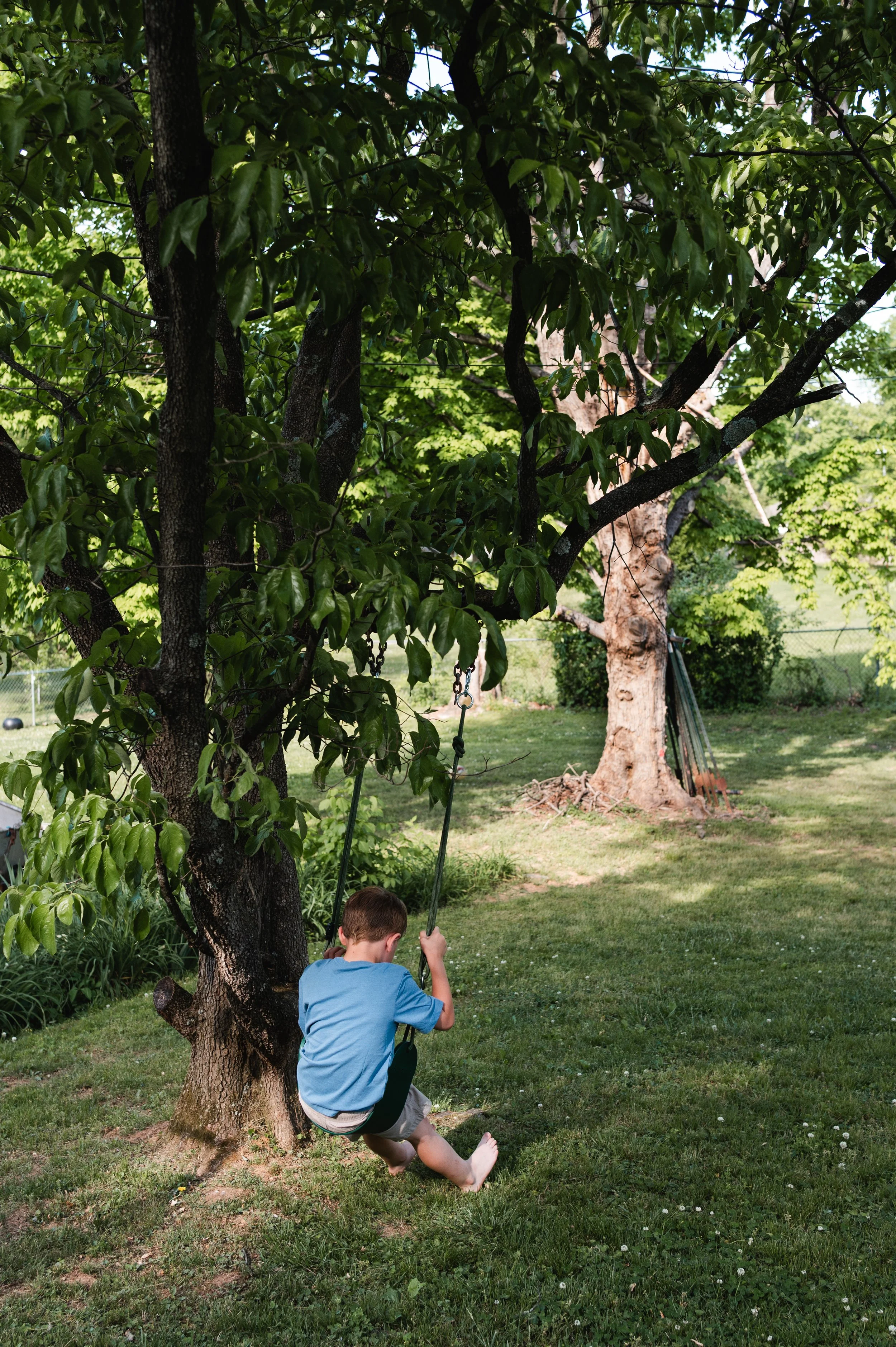 boy on swing in yard, family photographer clarksville tennessee, affordable, family photographer nashville tn