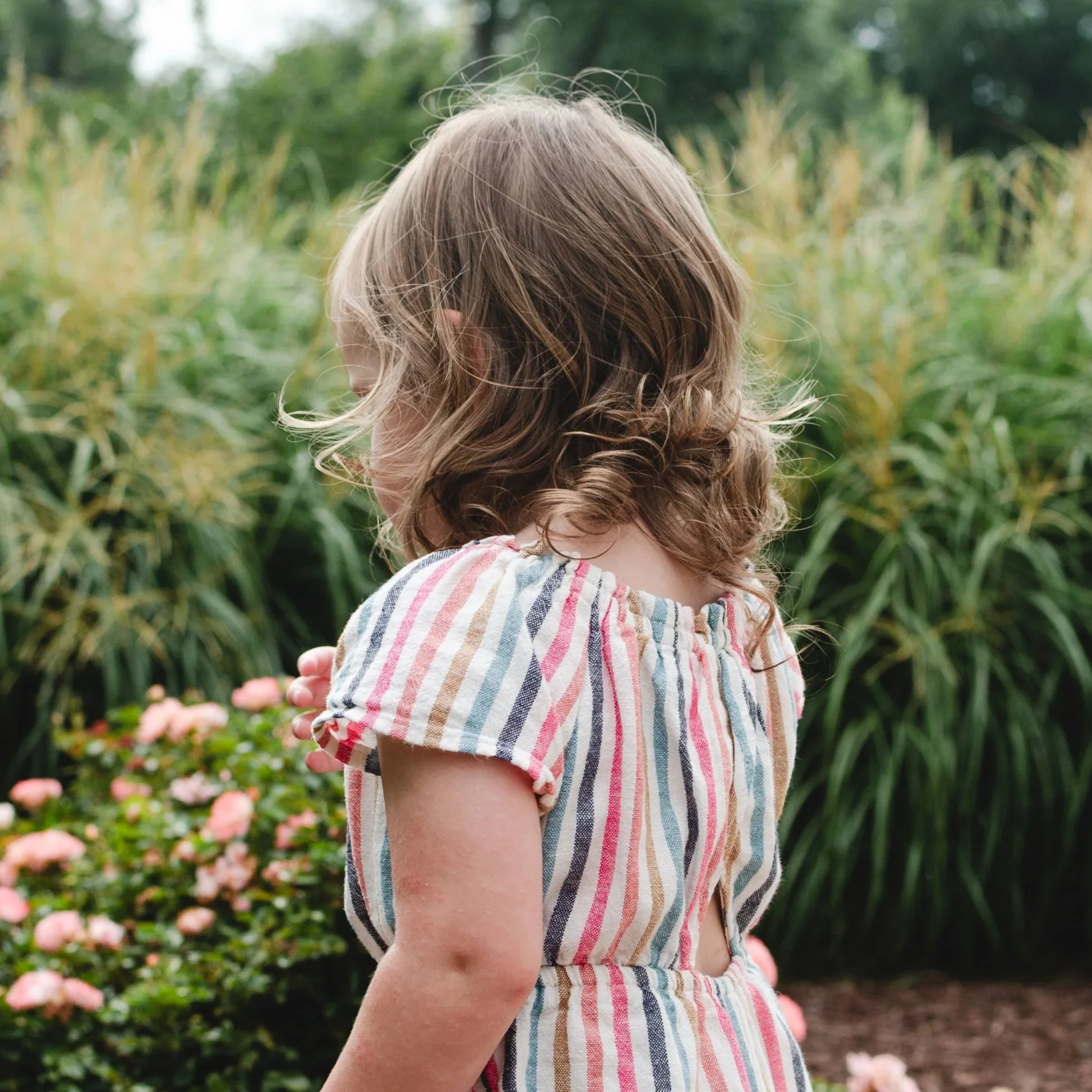 young girl with curly hair wearing colorful striped shirt stands looking at pink flowers in garden, clarksville tn, nashville tn, photographer, affordable, milestone, birthday, family photographer, outdoor, spring, summer, portrait