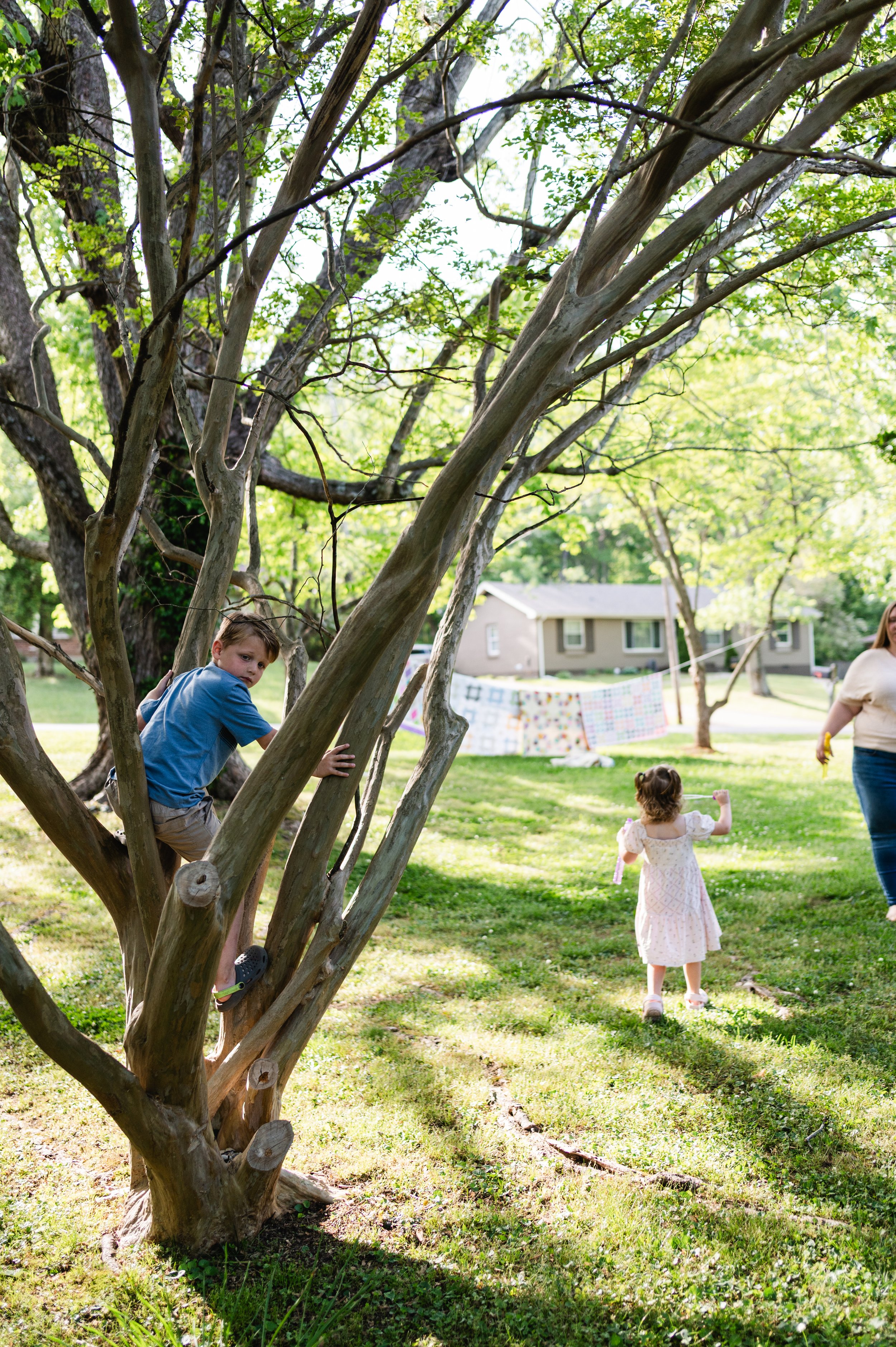child climbing tree, at home session, candid family photos, family photographer, clarksville tn, nashville tn