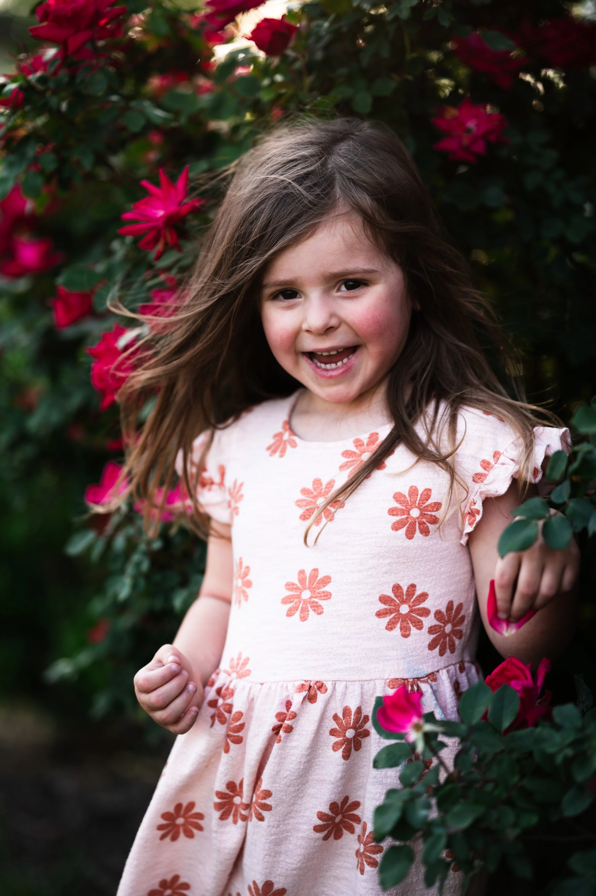 laughing young brunette girl in flower dress stands in pink rose bush on windy summer day, photographer, milestone portrait, birthday portrait, family photographer, clarksville tennessee, nashville tennessee, affordable