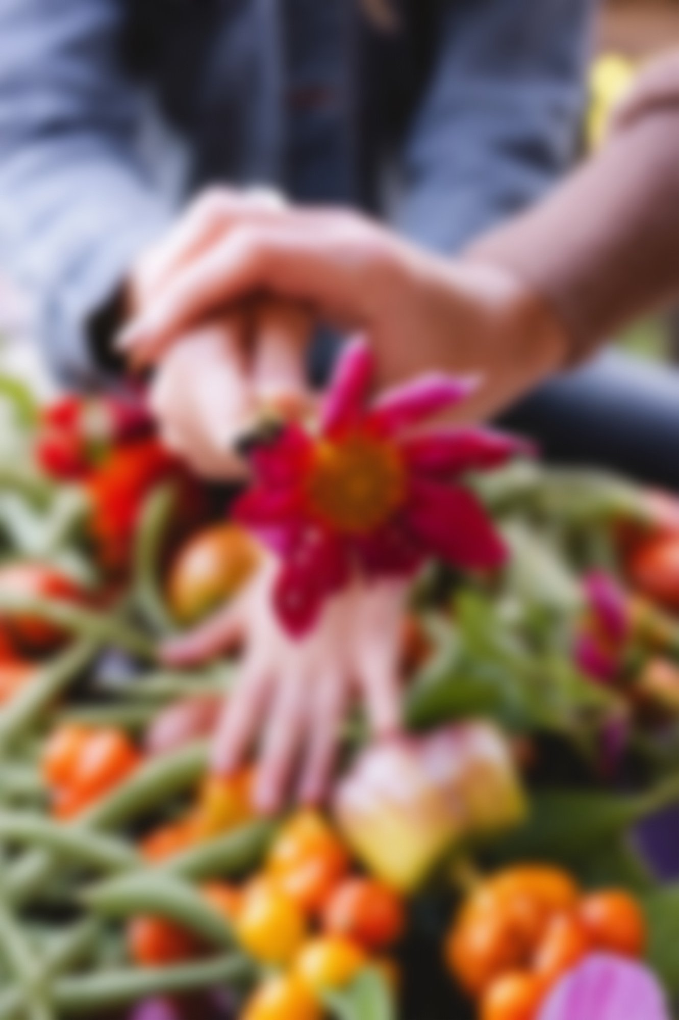 hands holding a pink and yellow flower surrounded by vegetables from garden, clarksville tn, nashville tn, photographer, affordable, lifestyle family photography, documentary family photography, family photographer