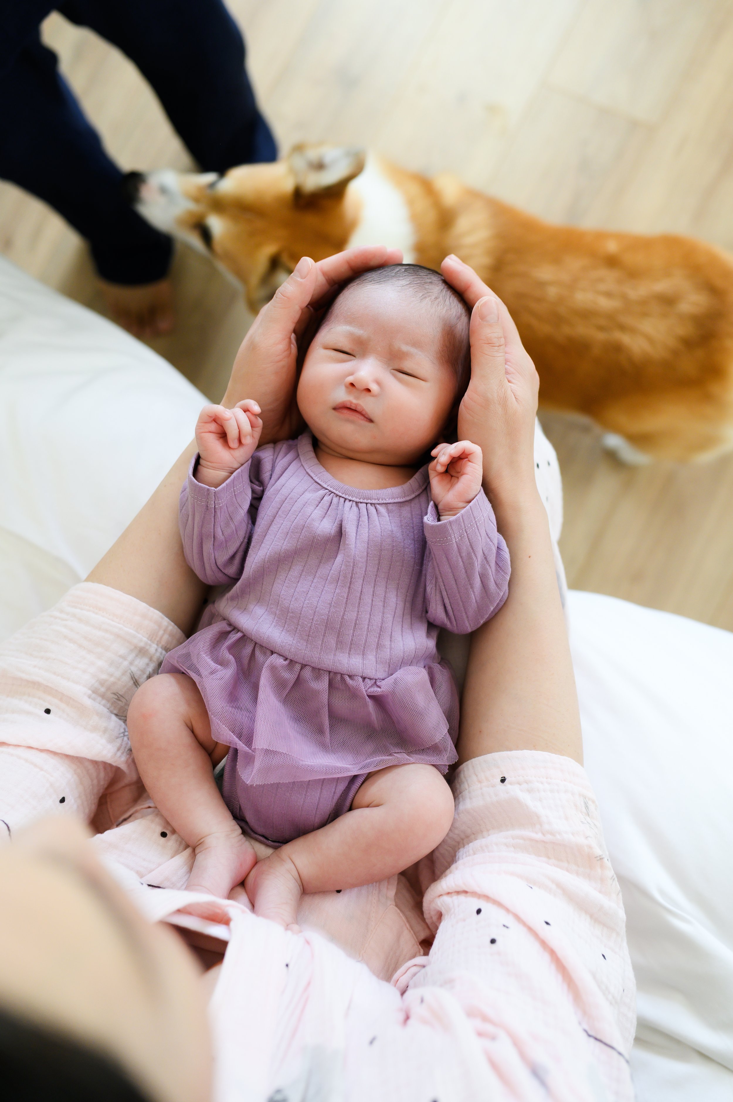 newborn baby in purple at home, newborn photographer, affordable, nashville, clarksville tennessee