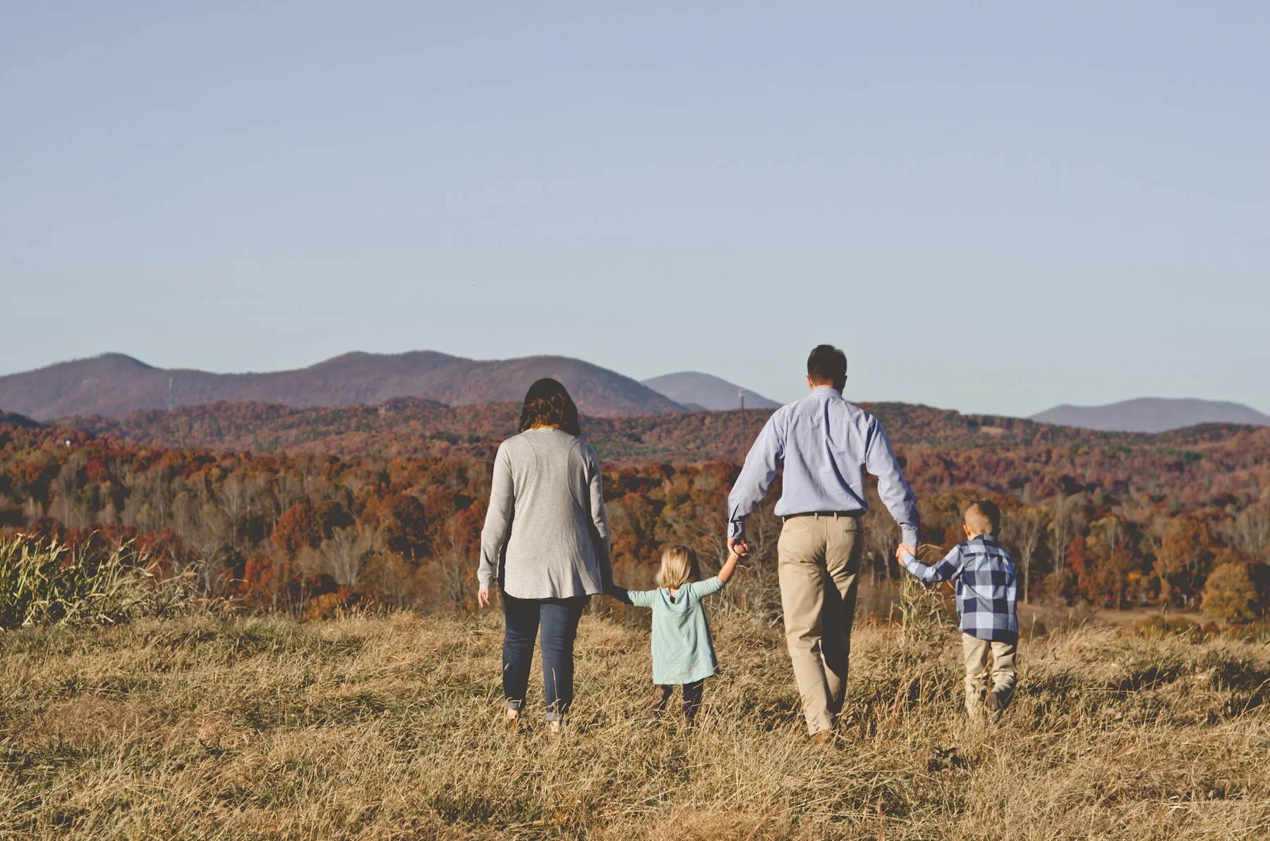 young family of four hold hands atop grassy hill with mountains in background, fall family photos, autumn, family photographer, clarksville tn, nashville tn, afforable