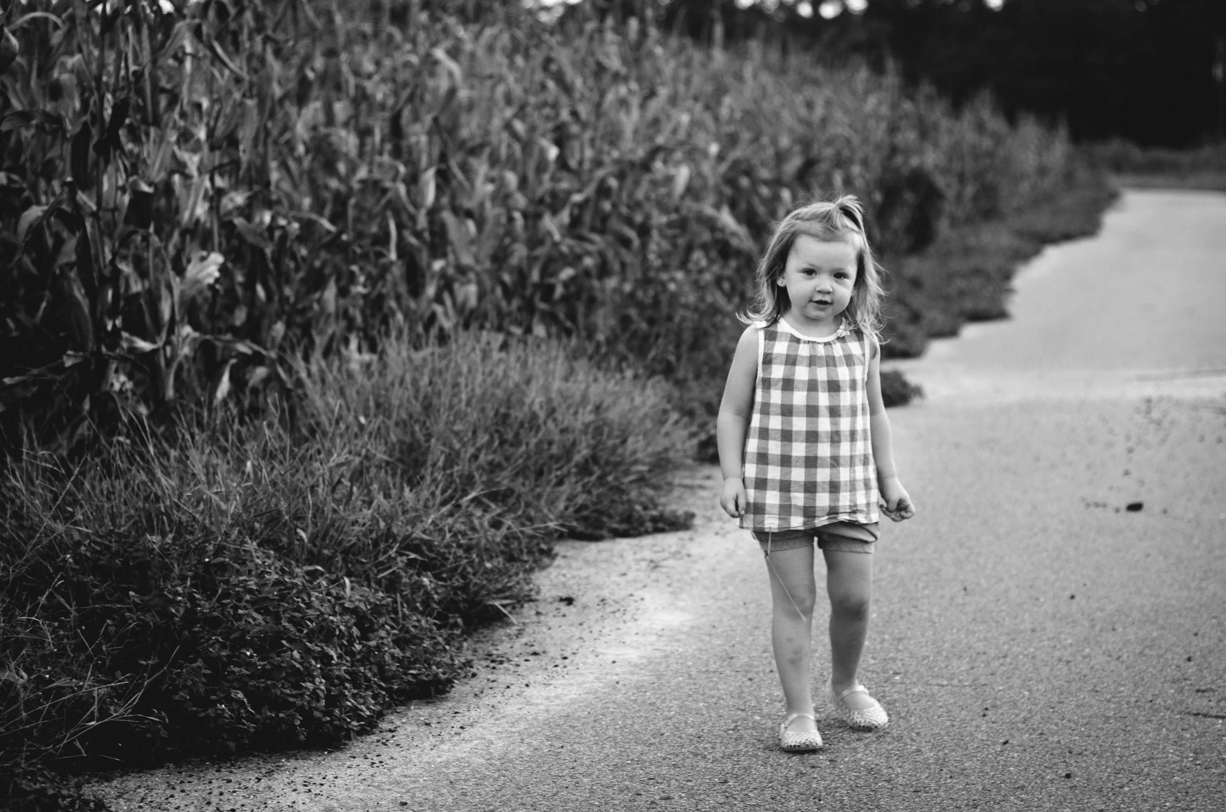 young girl in gingham shirt and shorts walks down road next to cornfield, photographer, affordable, clarksville tn, nashville tn, fort campbell ky, film photographer, family photographer