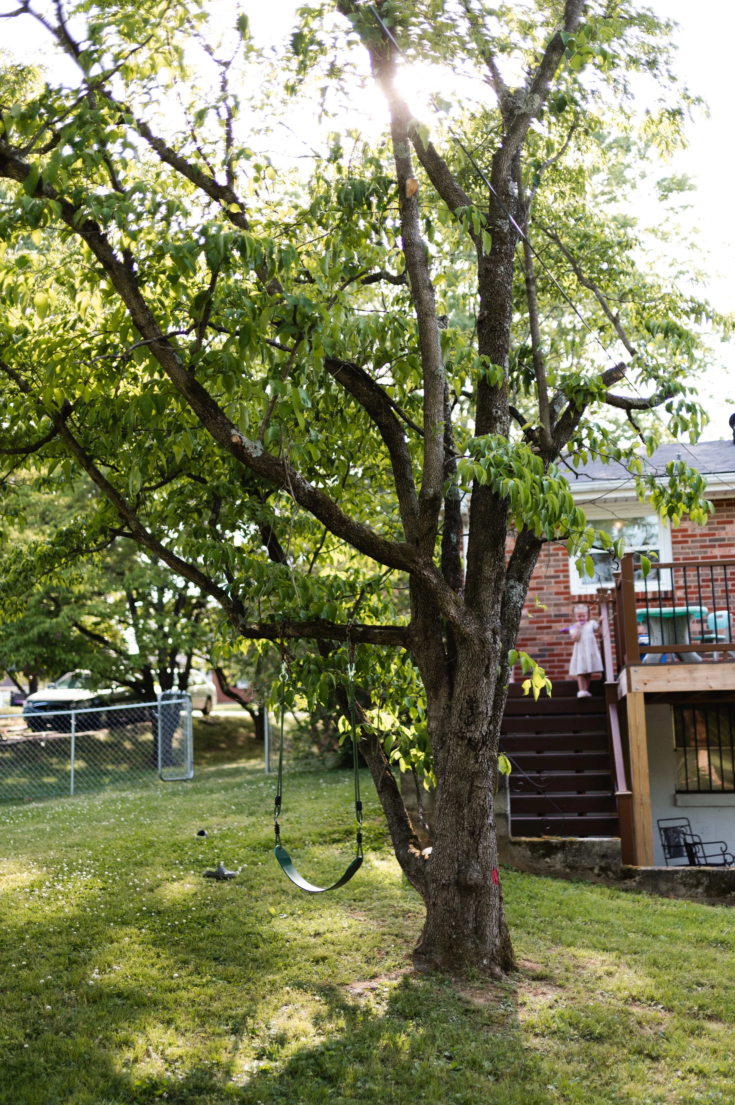 tree swing in backyard, family photographer, storytelling photographer, nashville tennessee, affordable, clarksville tennessee
