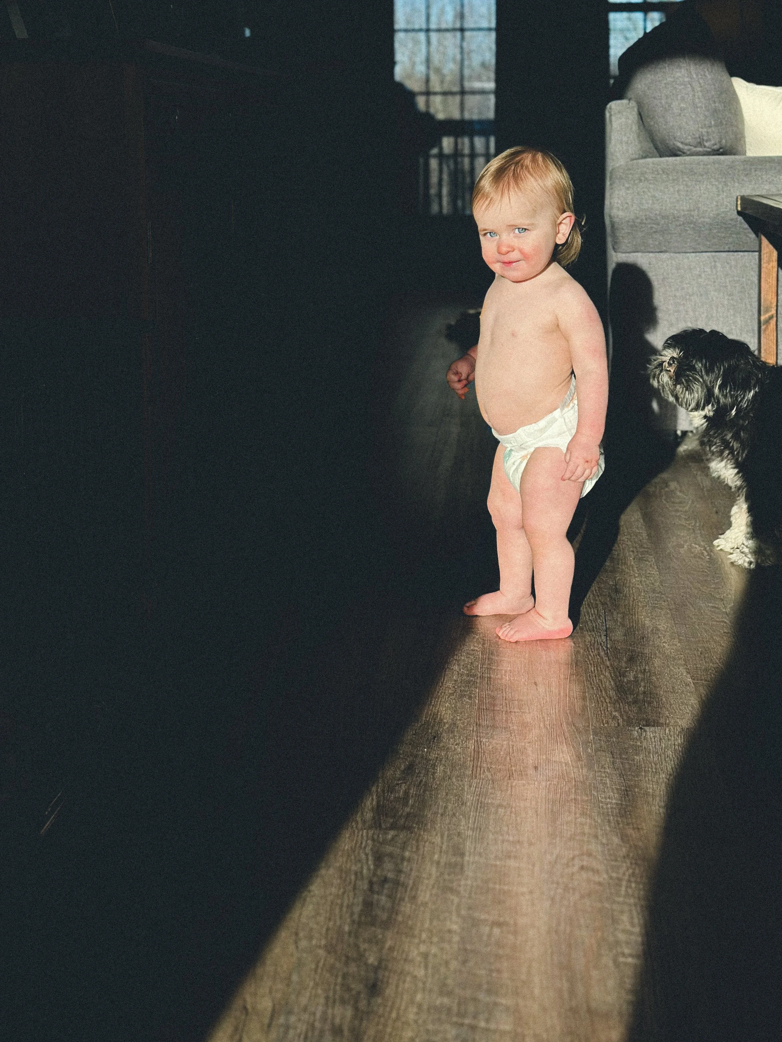 baby boy stands in bright sun in living room of home, clarksville tennessee, nashville tennessee, photographer, familly photographer, milestone, in-home session, moody, documentary family photographer, affordable