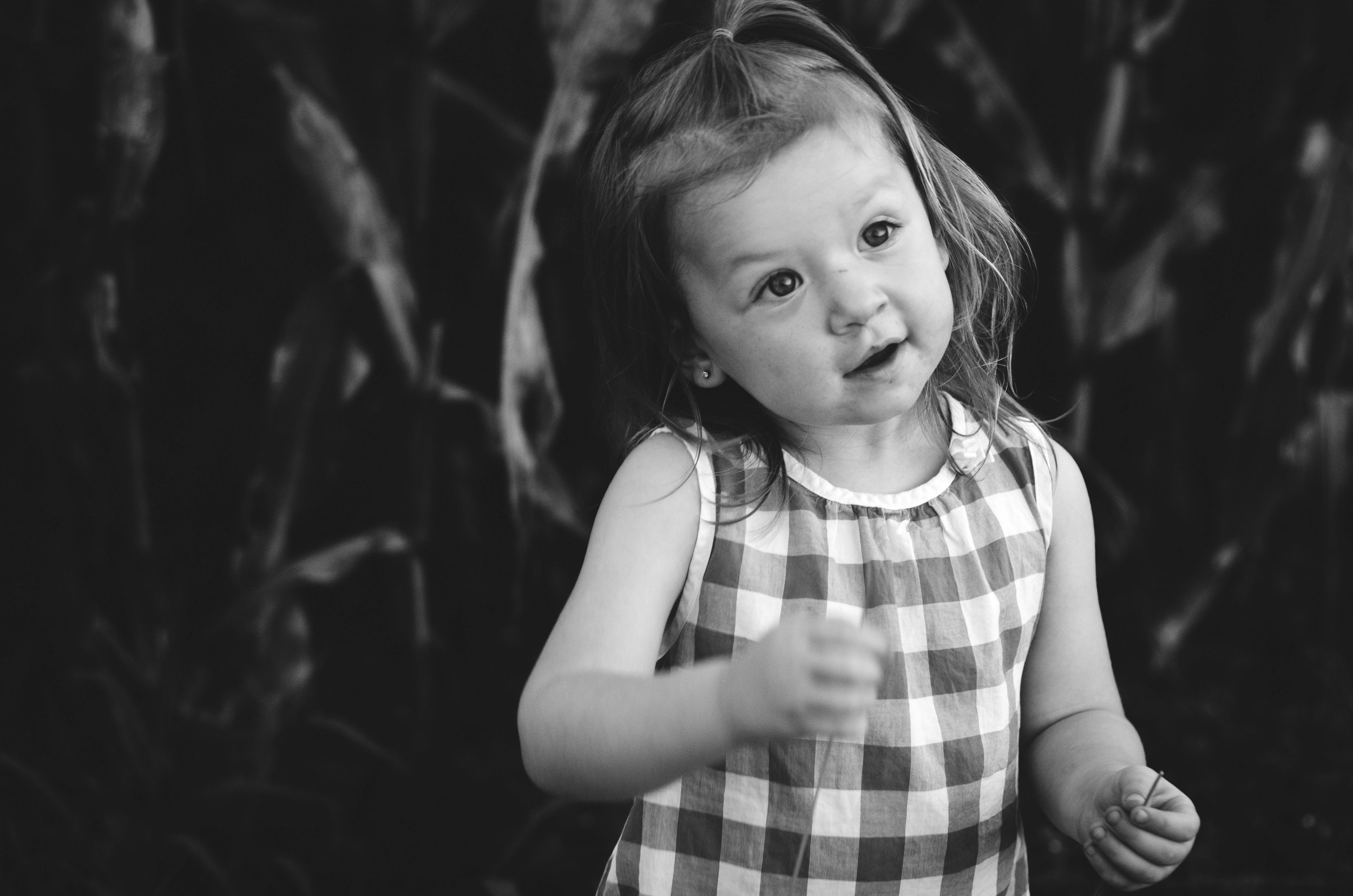 playful black and white photo of young girl in gingham shirt standing in corn field, clarksville tn, nashville tn, photographer, affordable