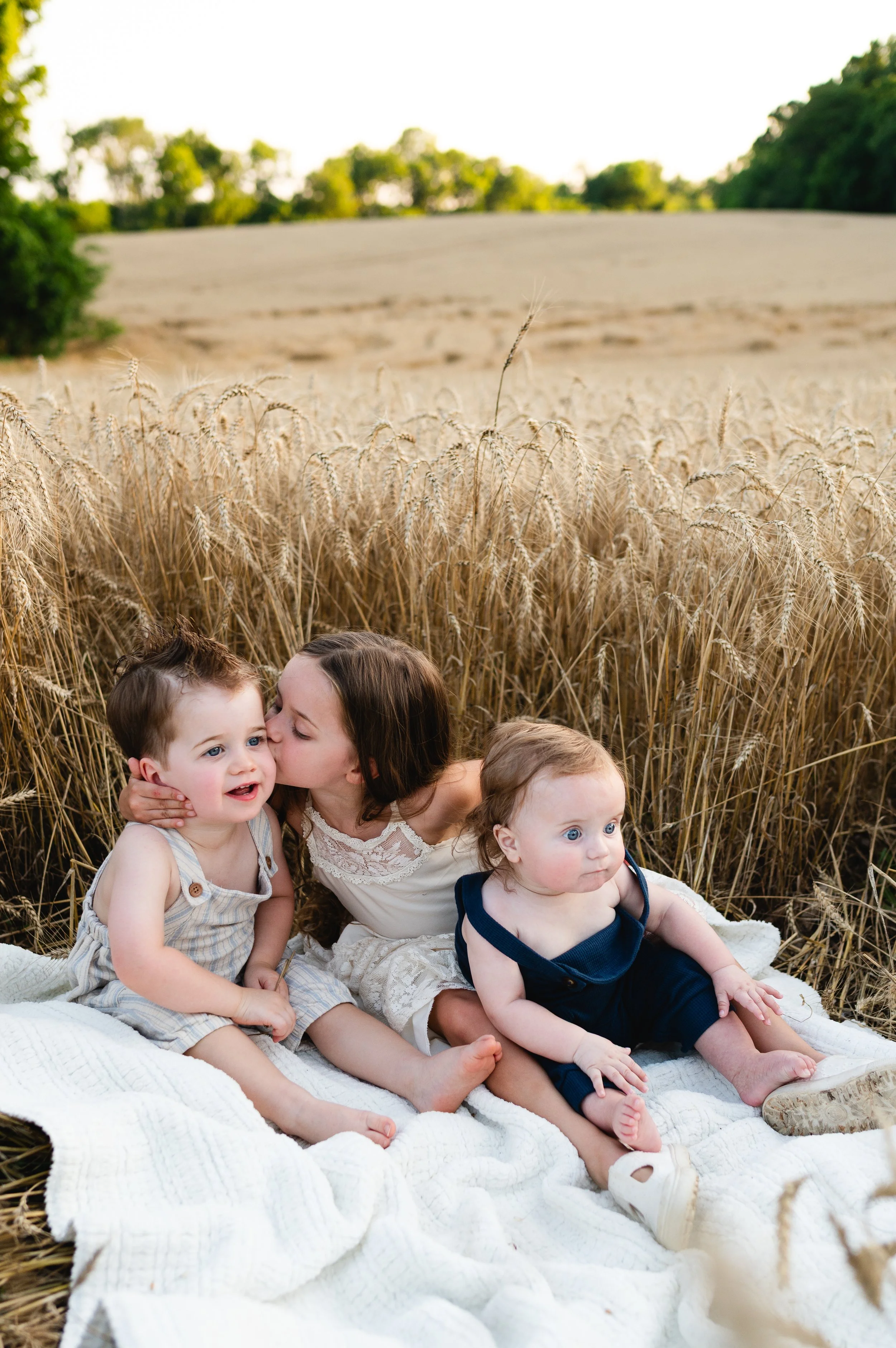 children in wheat field, clarksville tennessee, family photographer, nashville, affordable