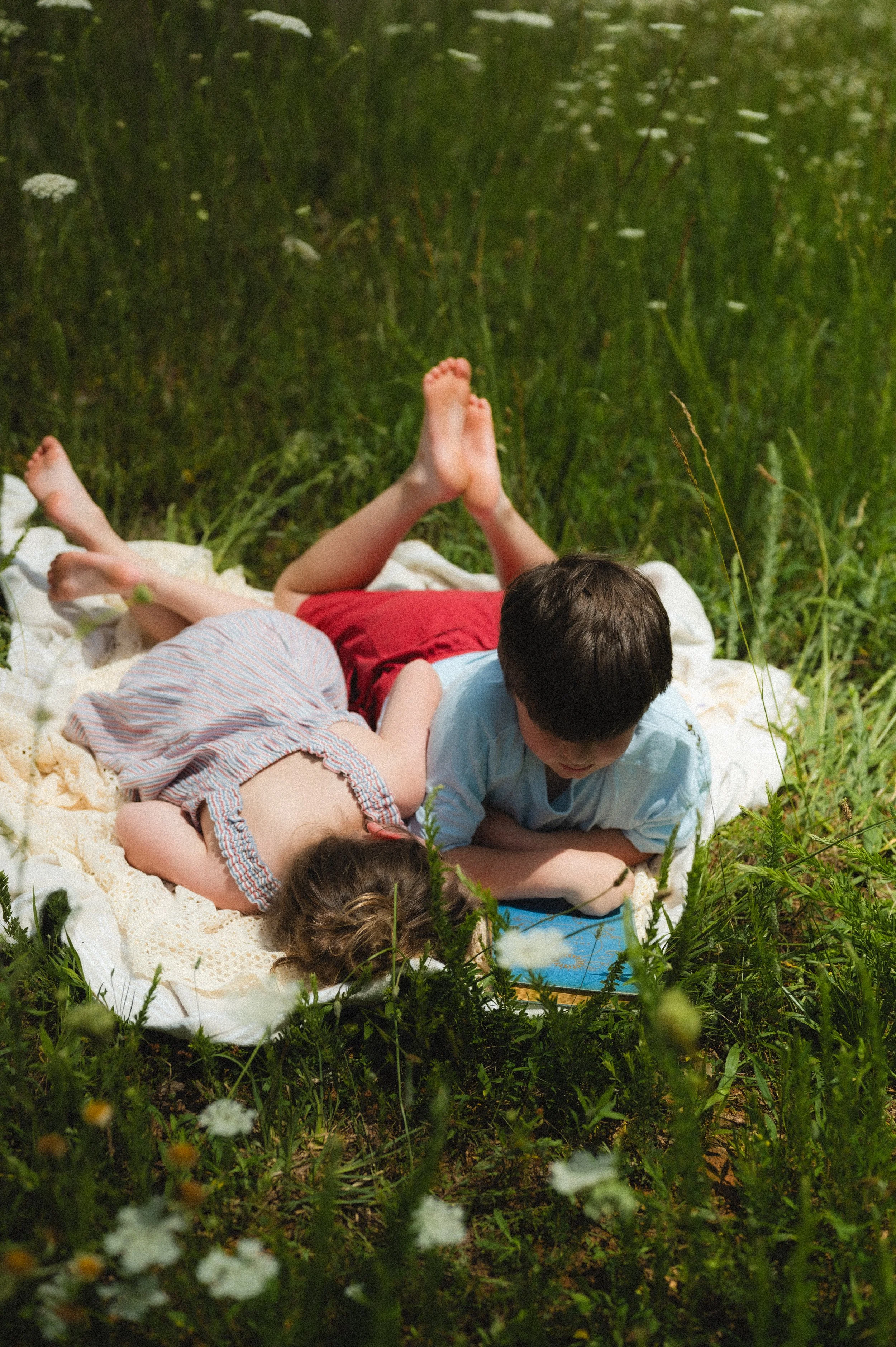young children sleep in flower field, family photographer, affordable, clarksville tennessee, nashville